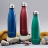 Insulated water bottle Caldo 500 ml red AMBITION