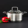 Pentola in acciaio inox con coperchio Hugo 20 cm AMBITION