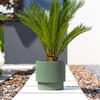 Zelený zahradní květináč s vložkou Milly 30 x 30 x 28,5 cm PROSPERPLAST