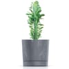 Dekorativer Blumentopf Tubo P Beton Effect 17,8 cm beton PROSPERPLAST