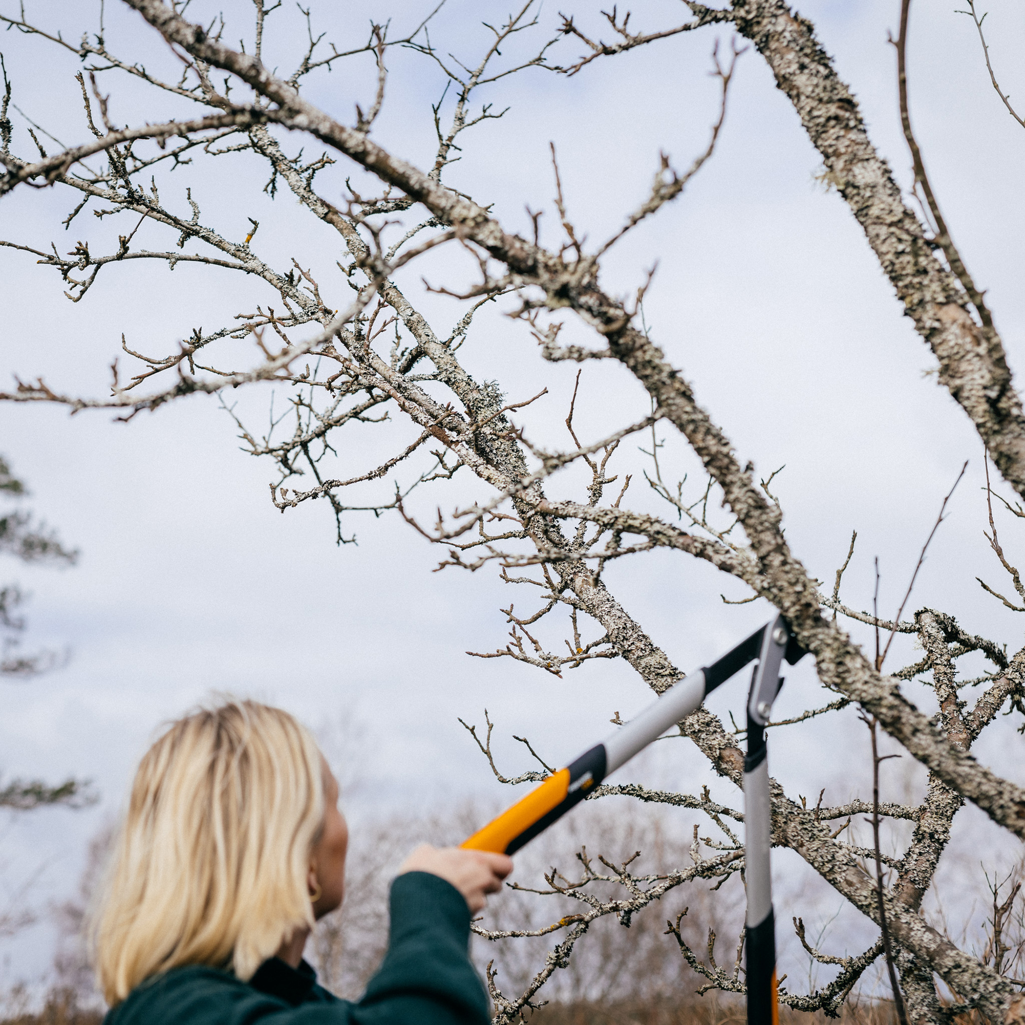 Sekator dźwigniowy nożycowy PowerGear™X (M) LX94 64 cm FISKARS