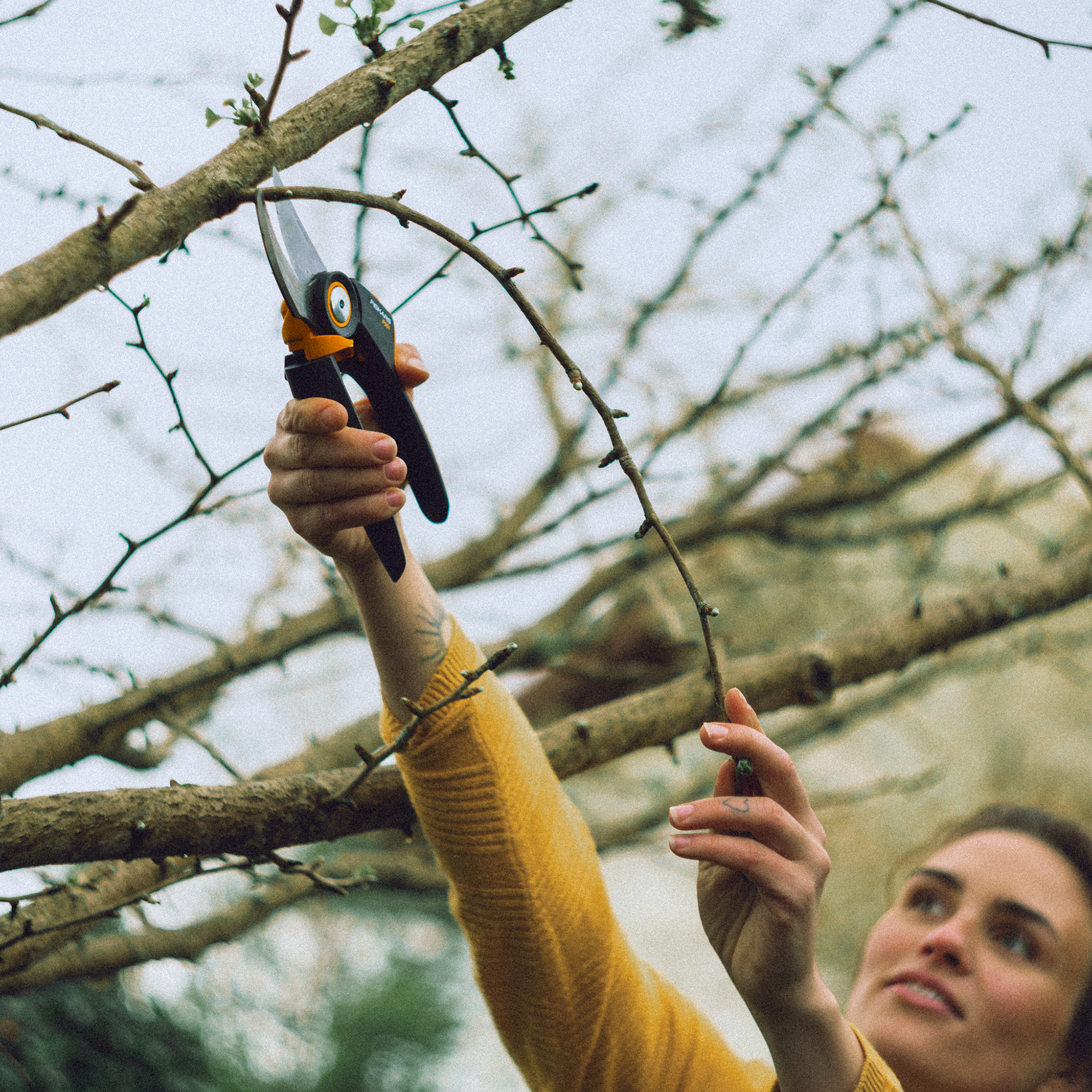 Sekator nożycowy X-series™ L P961 FISKARS