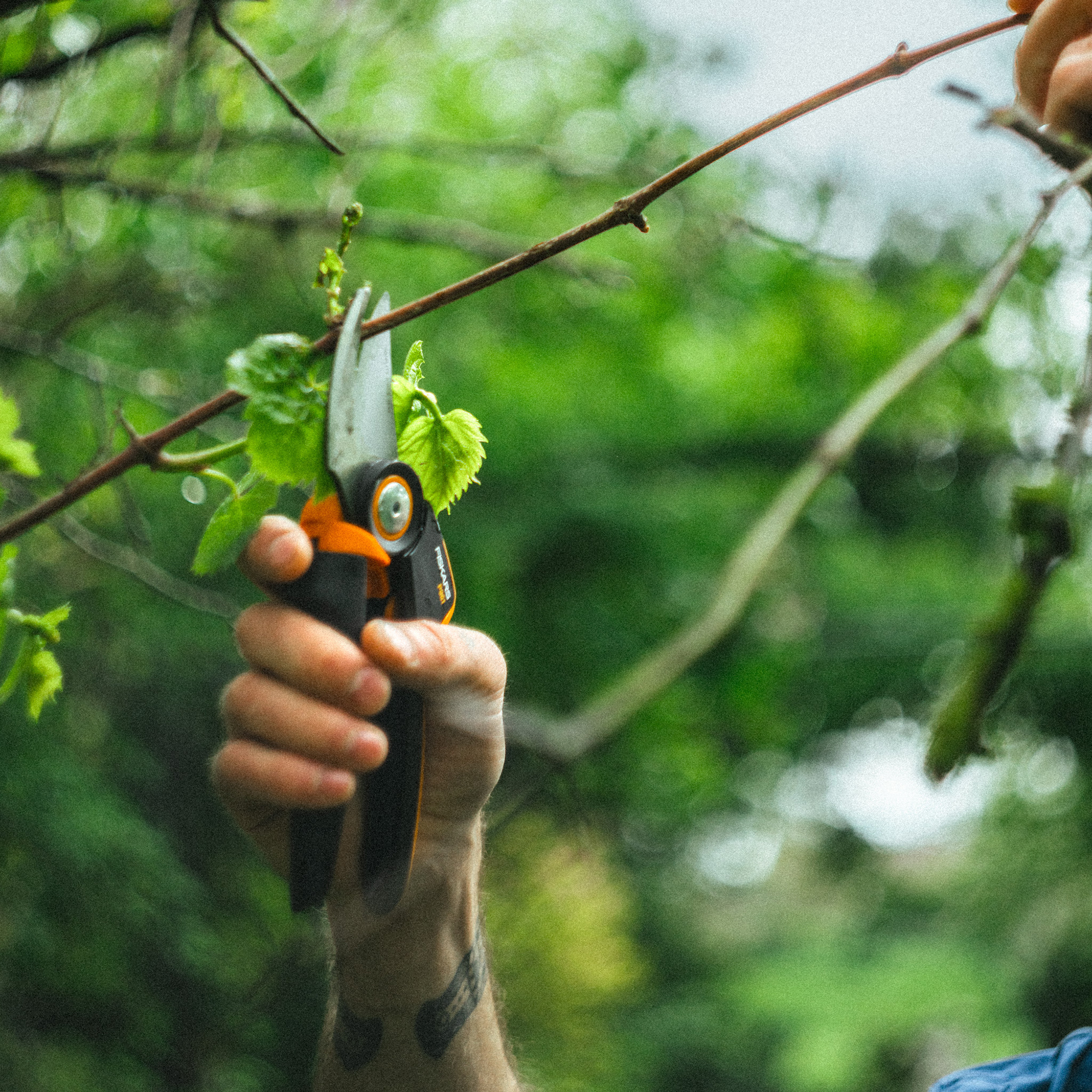 Sekator nożycowy X-series™ L P961 FISKARS