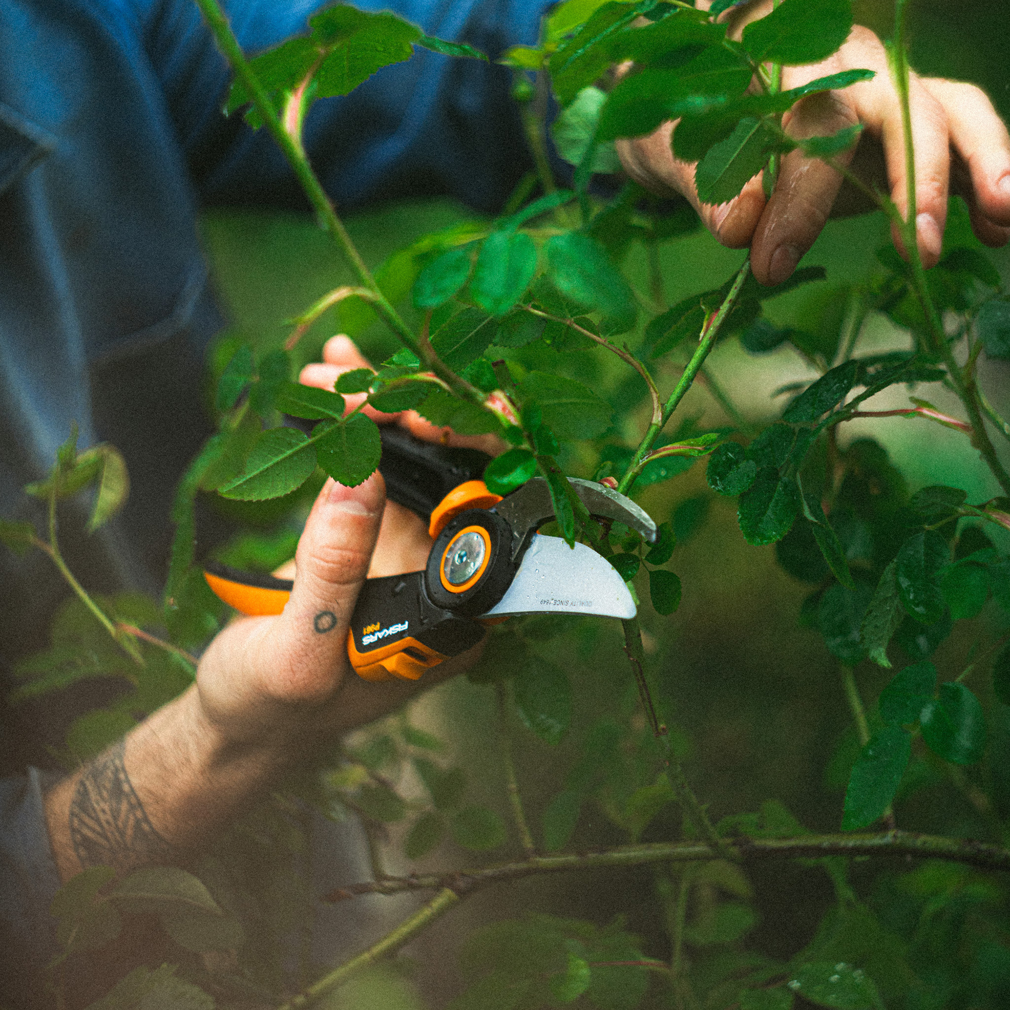 Sekator nożycowy X-series™ L P961 FISKARS