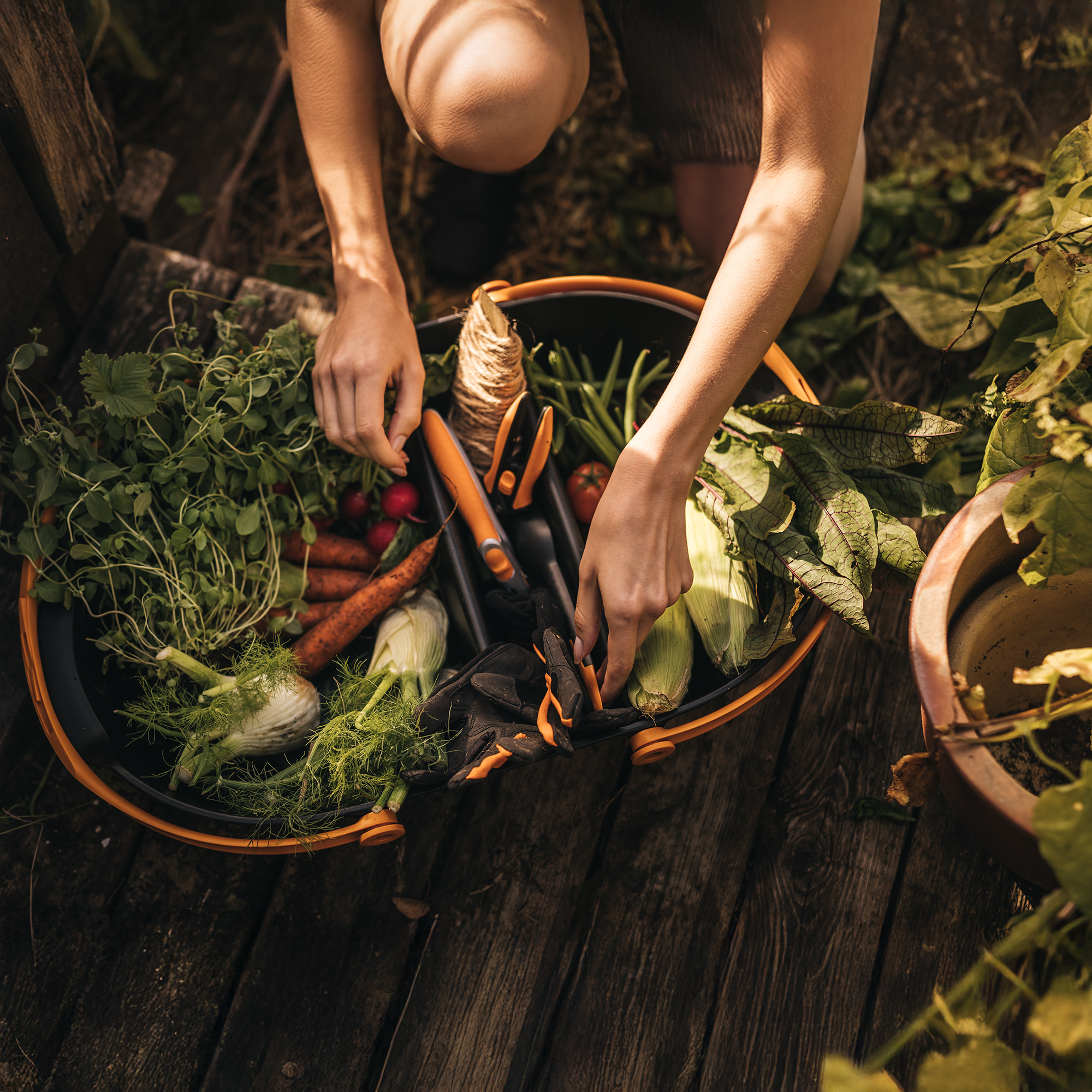 Koszyk do zbiorów warzyw i owoców Plus™ FISKARS