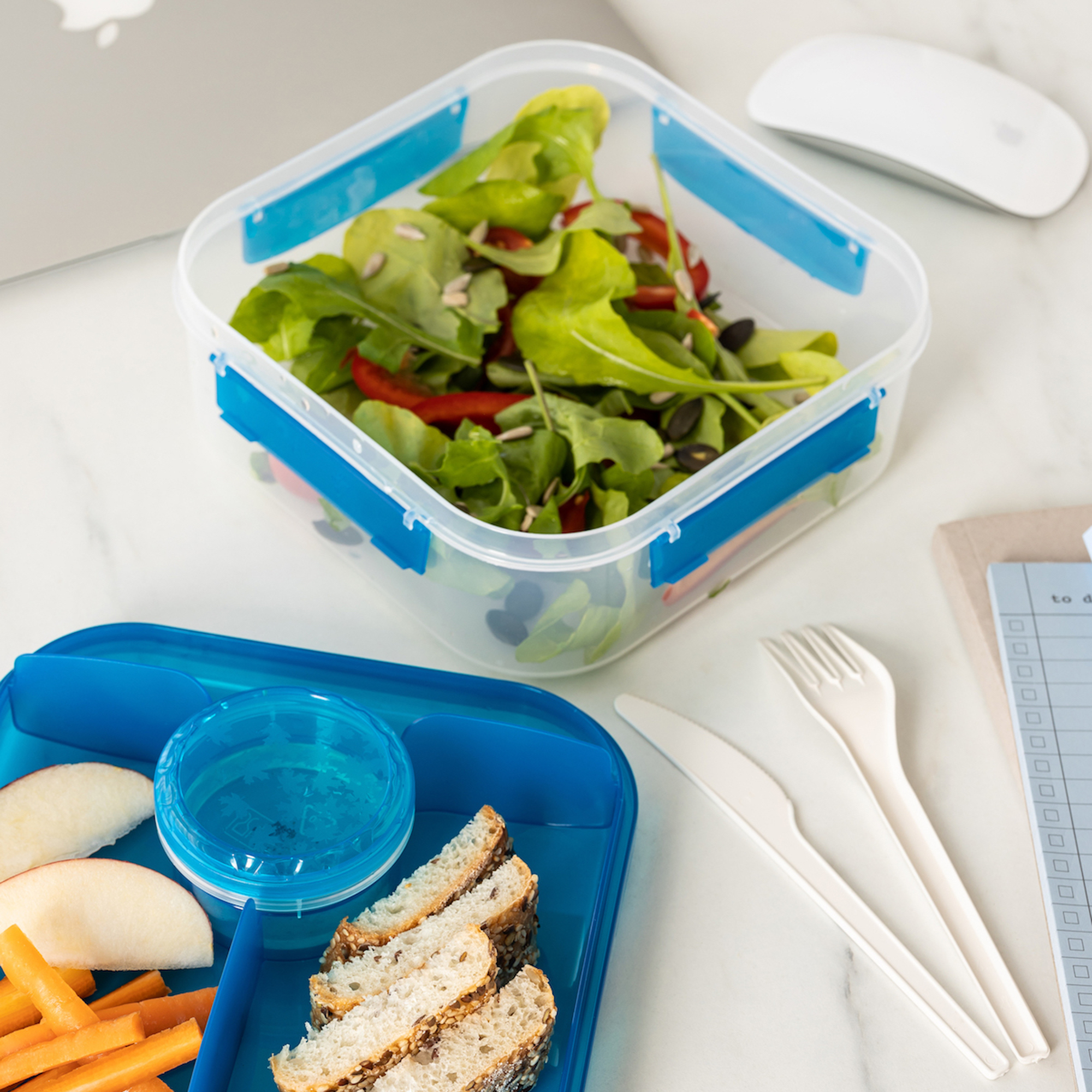 Modrý lunchbox s přihrádkami Lido 1,6 l BRANQ