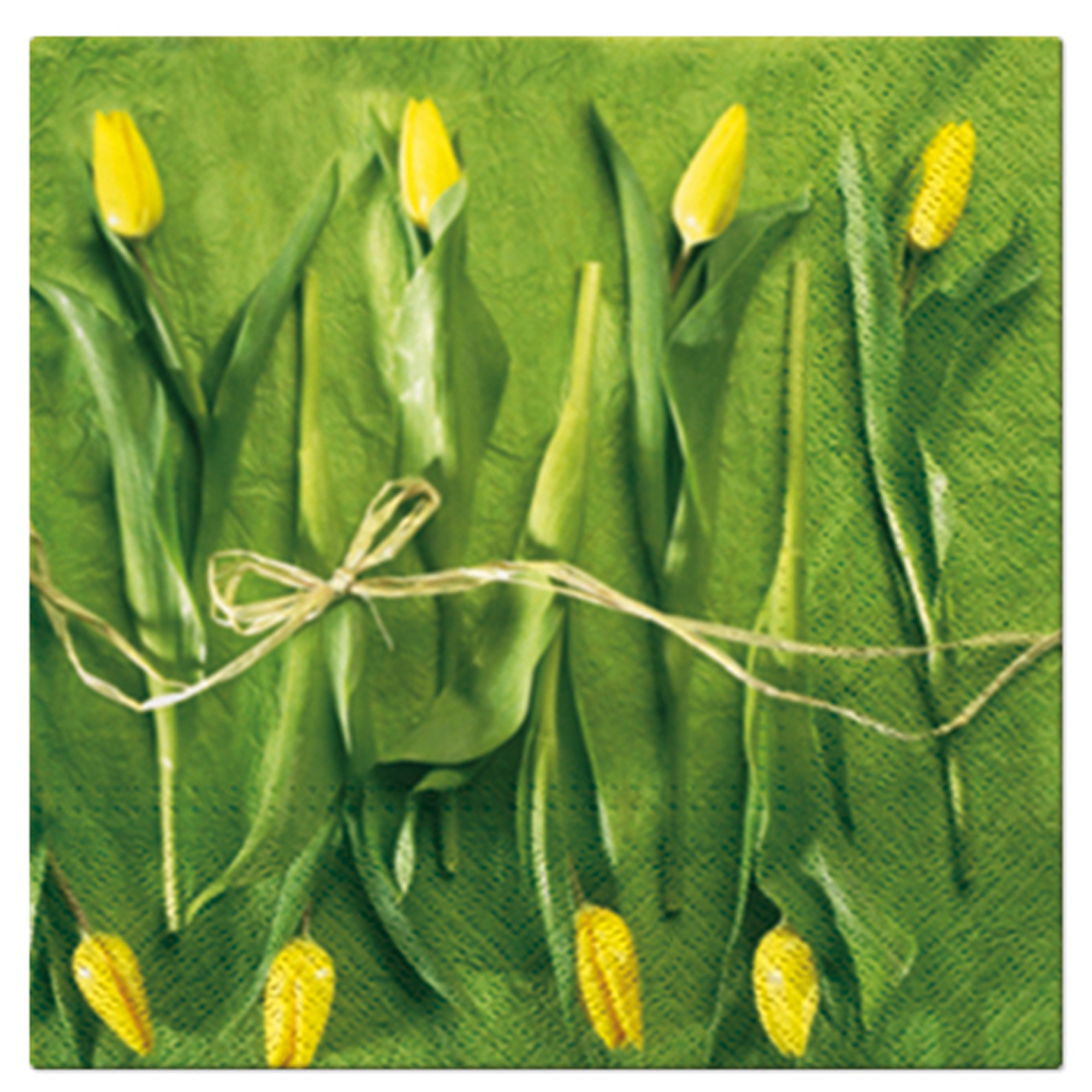 Servietten  Fresh Tulips 33 x 33 cm 20 St.  PAW