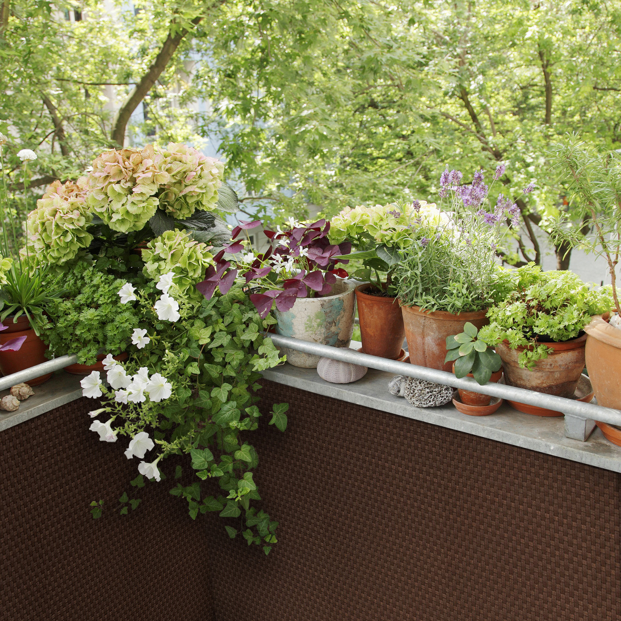 Balkónová zástěna z technorattanu Tress Brown 0,9 x 5 m PATIO