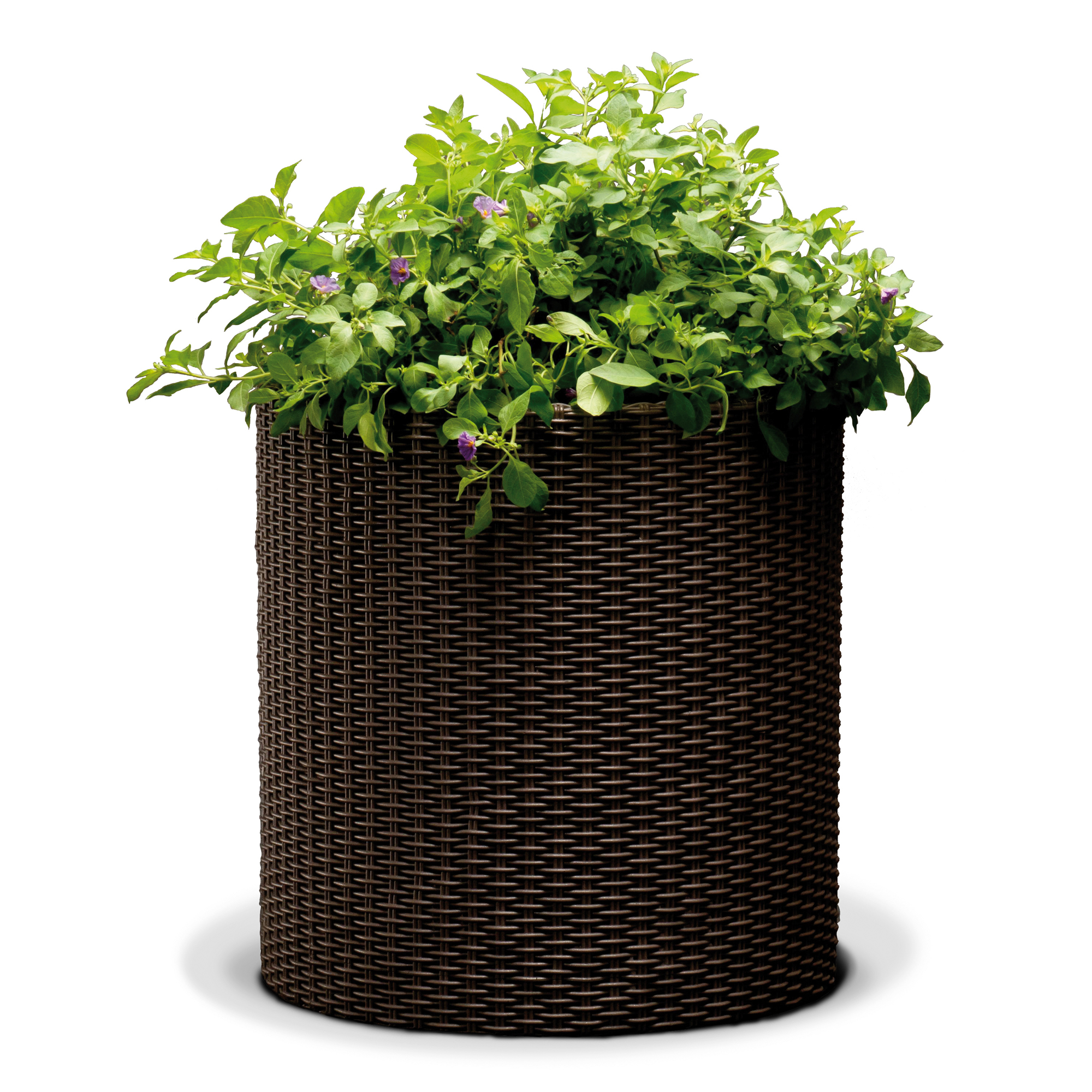 Blumentopf / Pflanzkübel Rattan 36 x 37,3 cm braun rund KETER