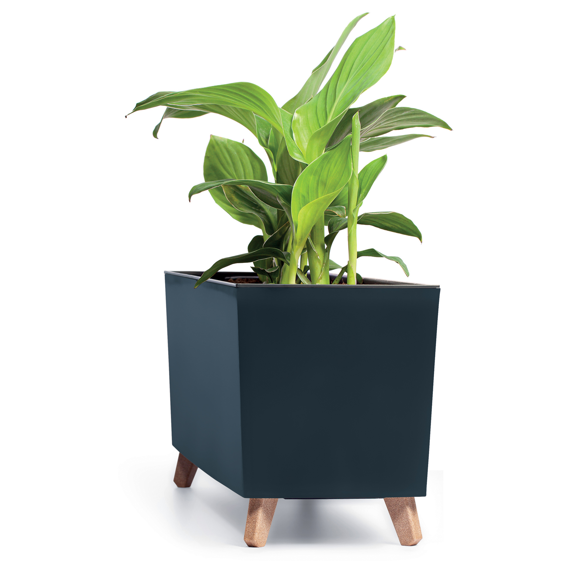 Blumenkasten mit Einsatz Urbi Case 77 x 23,5 x 30 cm antracytowy PROSPERPLAST