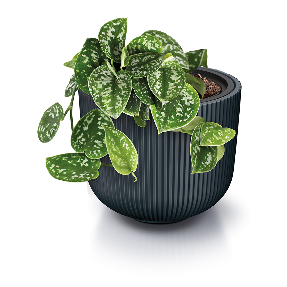 Blumentopf Milly 29,9 x 29,9 x 27 cm anthrazit PROSPERPLAST