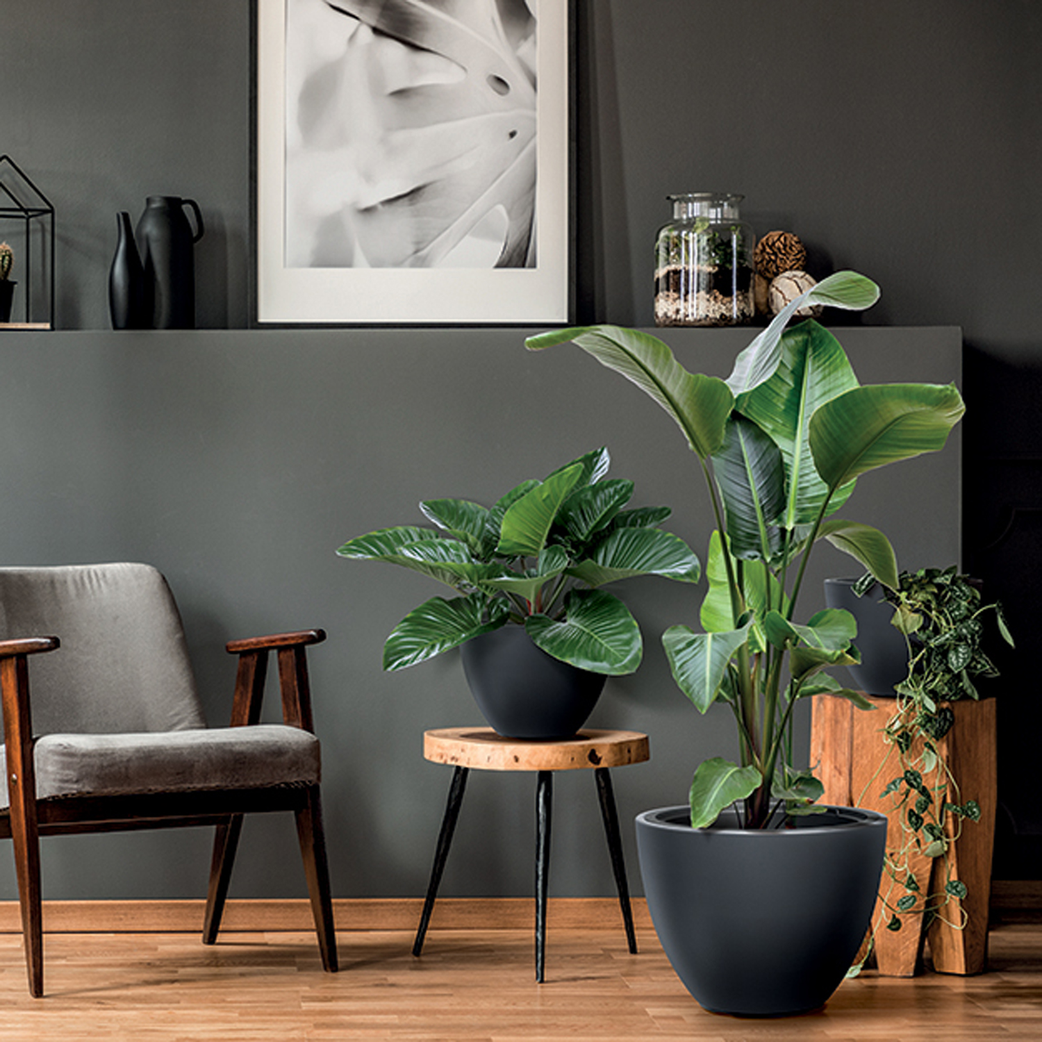 Blumentopf mit Einsatz Heos 57 x 57 x 44 cm anthrazit PROSPERPLAST