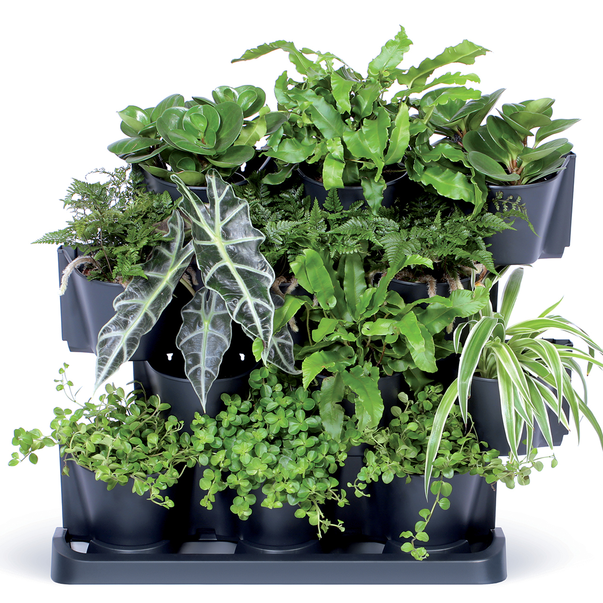 Kaskádový plastový květináč Cascade Garden Antracit 19 x 68,5 x 54,6 cm PROSPERPLAST