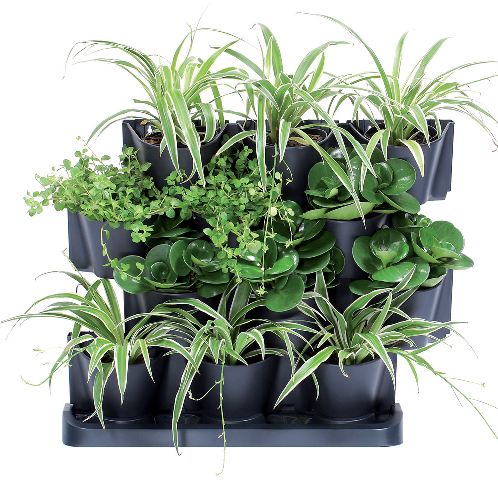 Kaskádový plastový květináč Cascade Garden Antracit 19 x 68,5 x 54,6 cm PROSPERPLAST