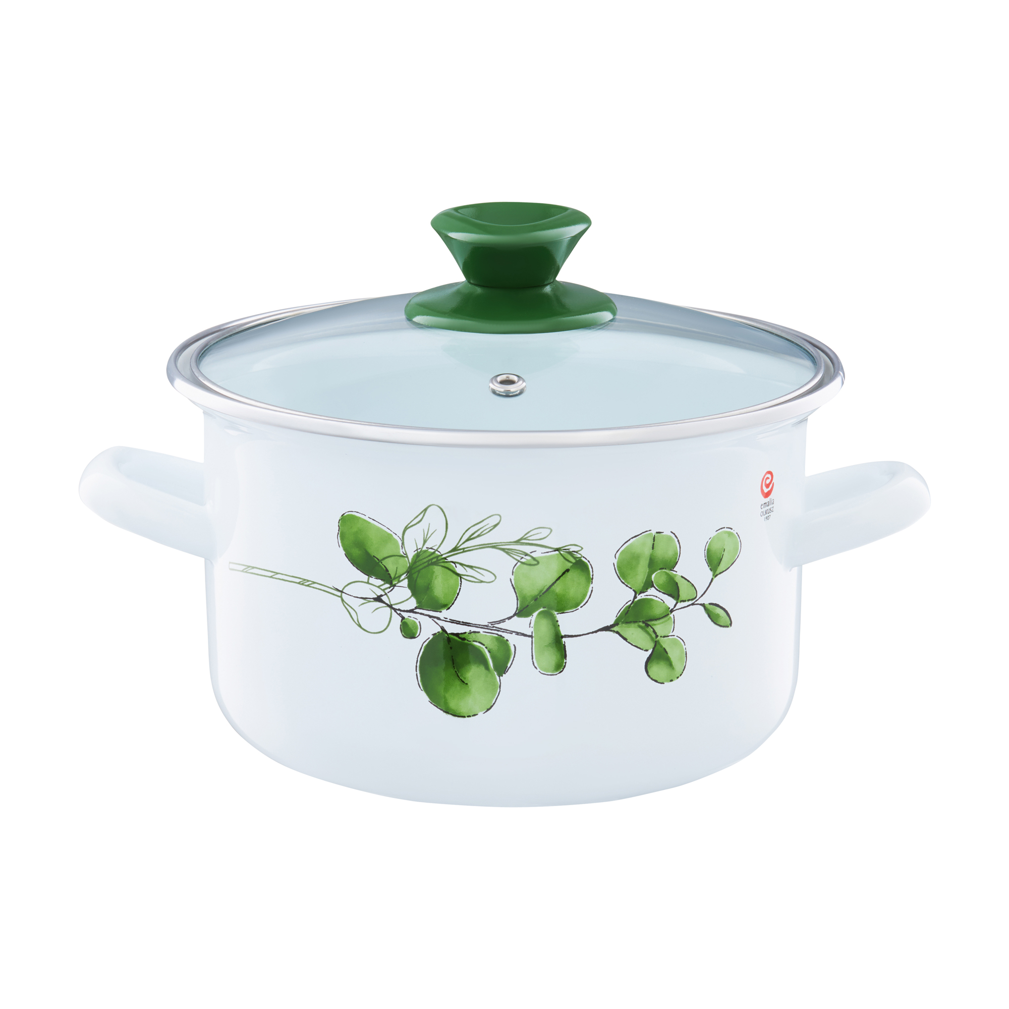 Smaltovaný hrniec s pokrievkou Eukaliptus 20 cm, 3,8 l EMALIA OLKUSZ