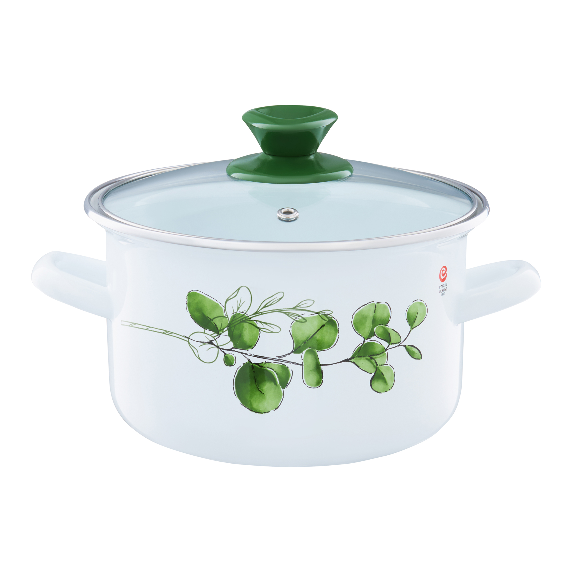 Emaljerad gryta med lock Eukalyptus 22 cm 5 l EMALIA OLKUSZ  