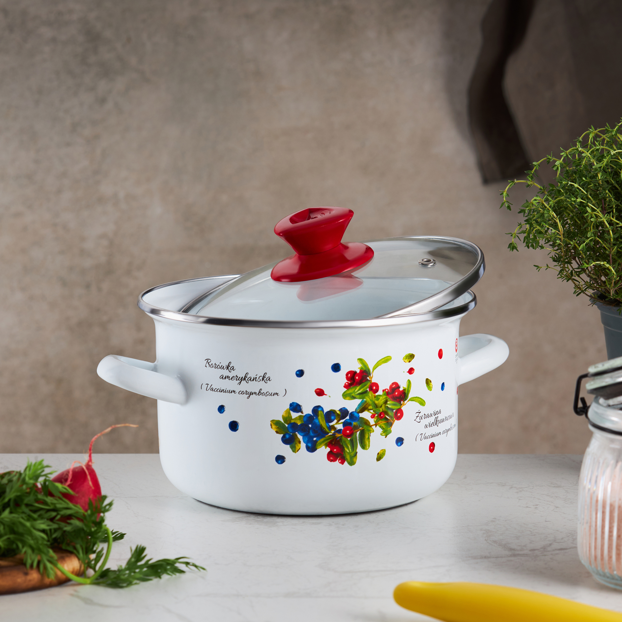 Smaltovaný hrnec s poklicí Borůvka 16 cm, 2 l EMALIA OLKUSZ PL NÁPISY