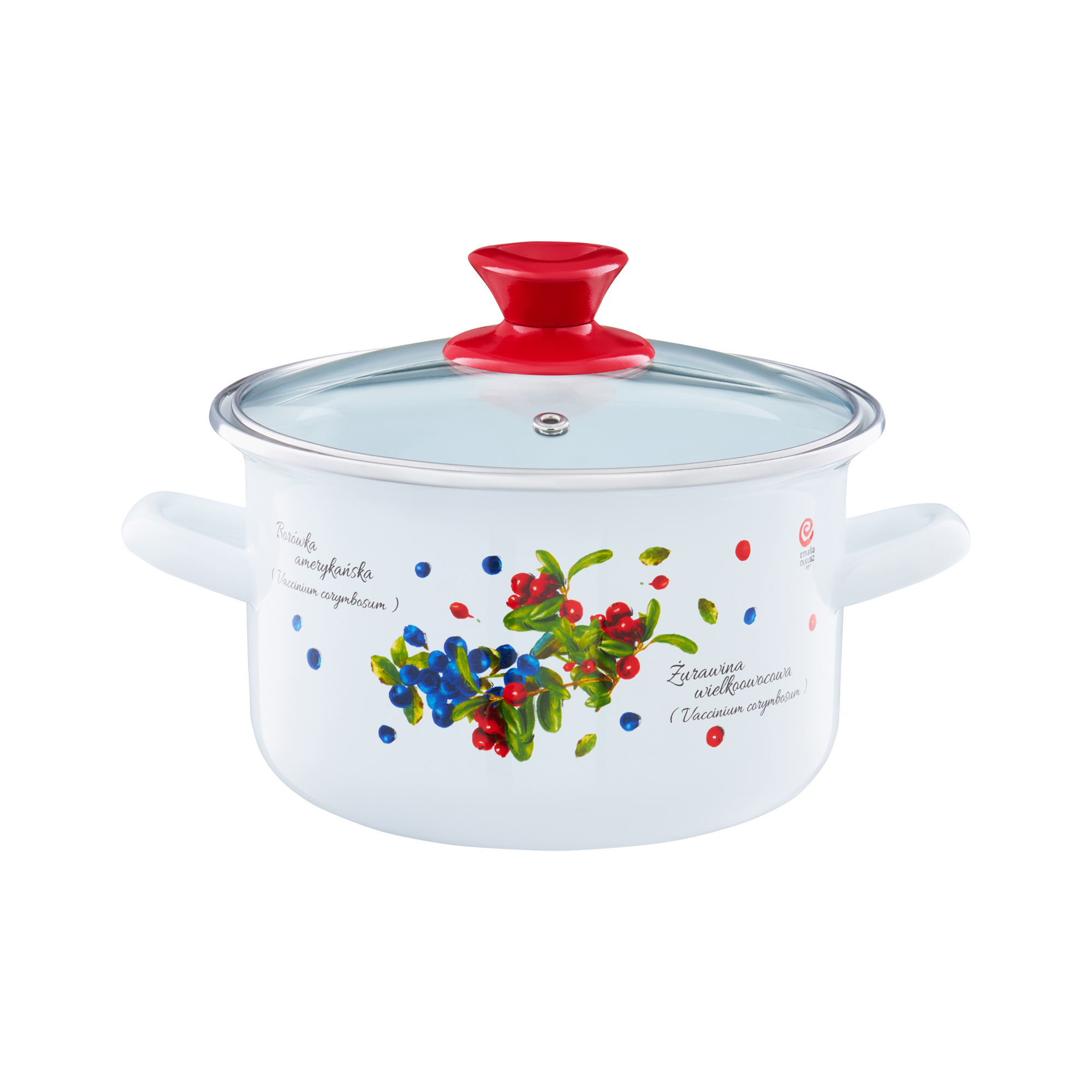 Smaltovaný hrnec s poklicí Borůvka 16 cm, 2 l EMALIA OLKUSZ PL NÁPISY