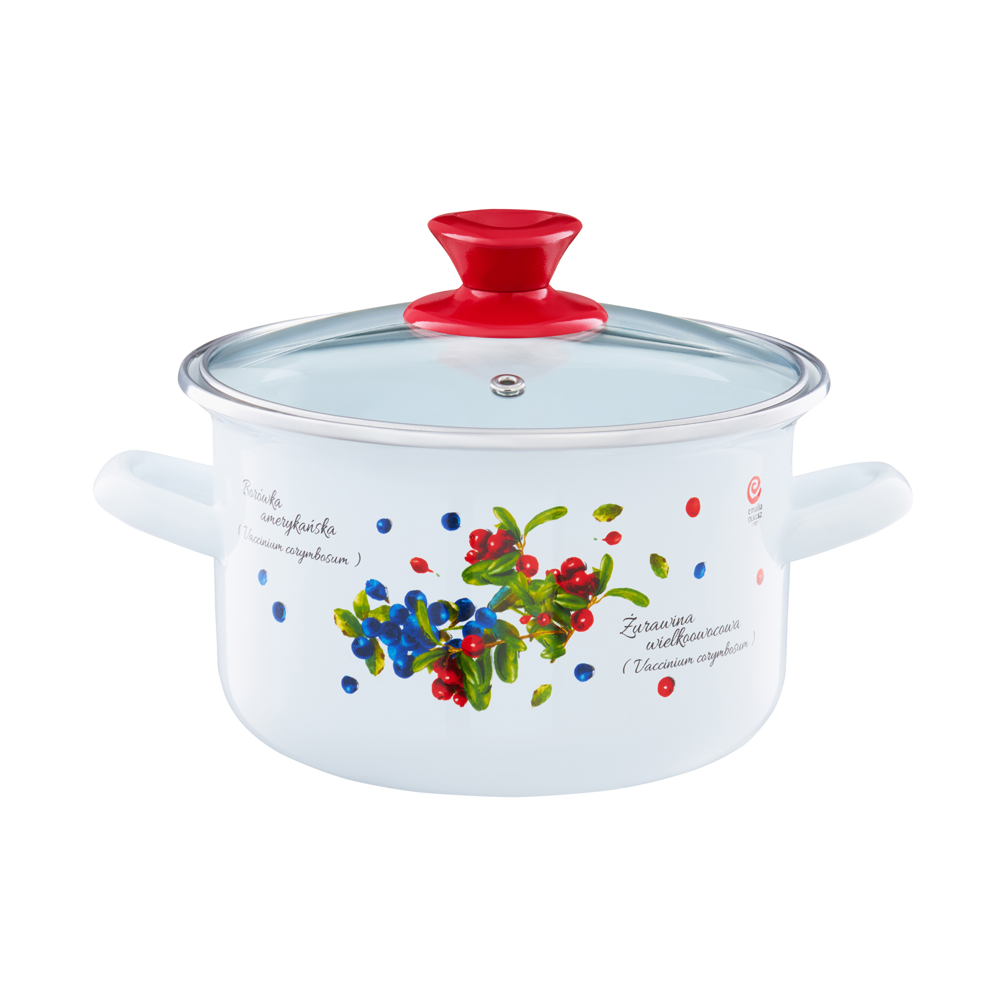 Smaltovaný hrnec s poklicí Borůvka 18 cm, 2,9 l EMALIA OLKUSZ PL NÁPISY