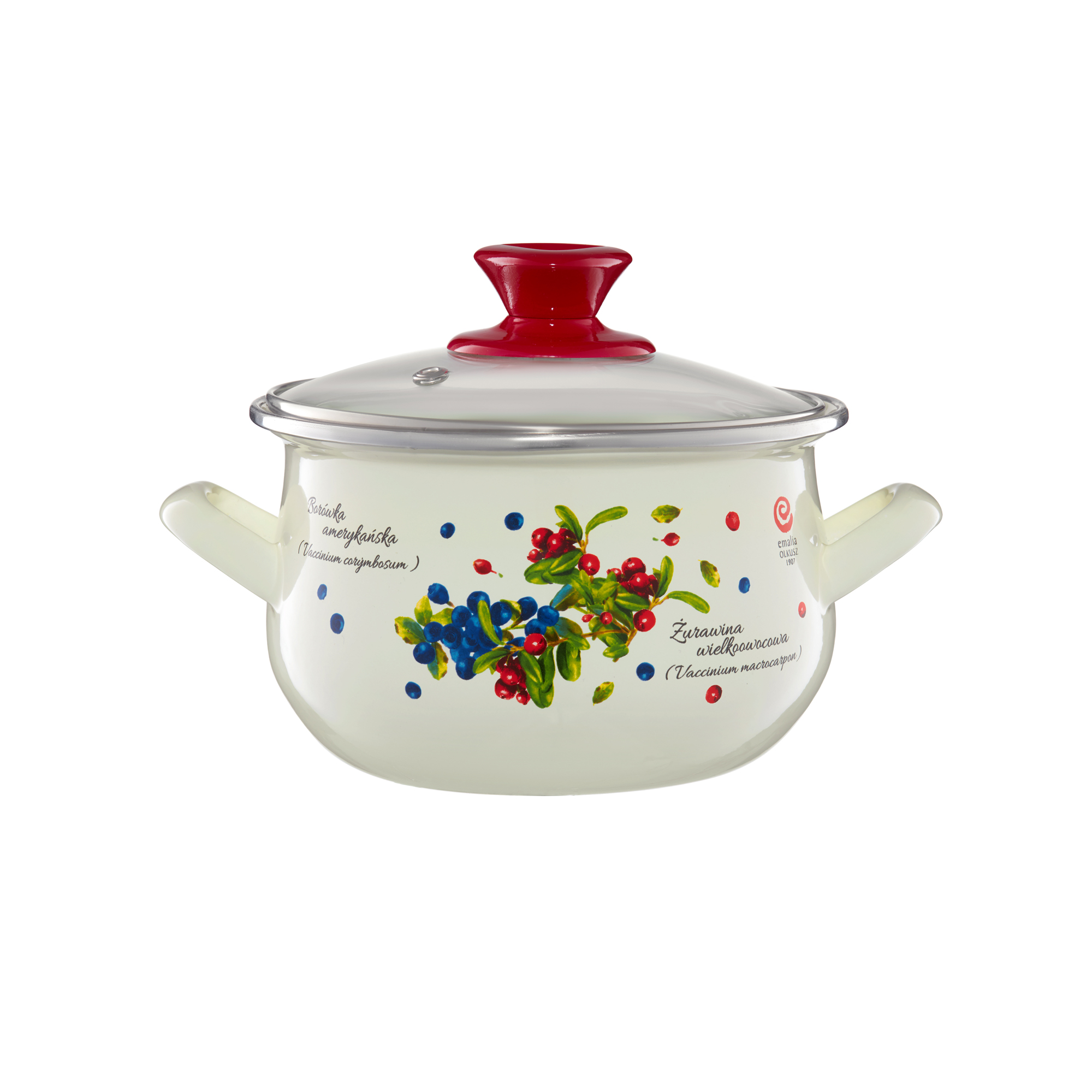 Smaltovaný hrnec s poklicí Borůvka 16 cm, 2,2 l EMALIA OLKUSZ PL NÁPISY