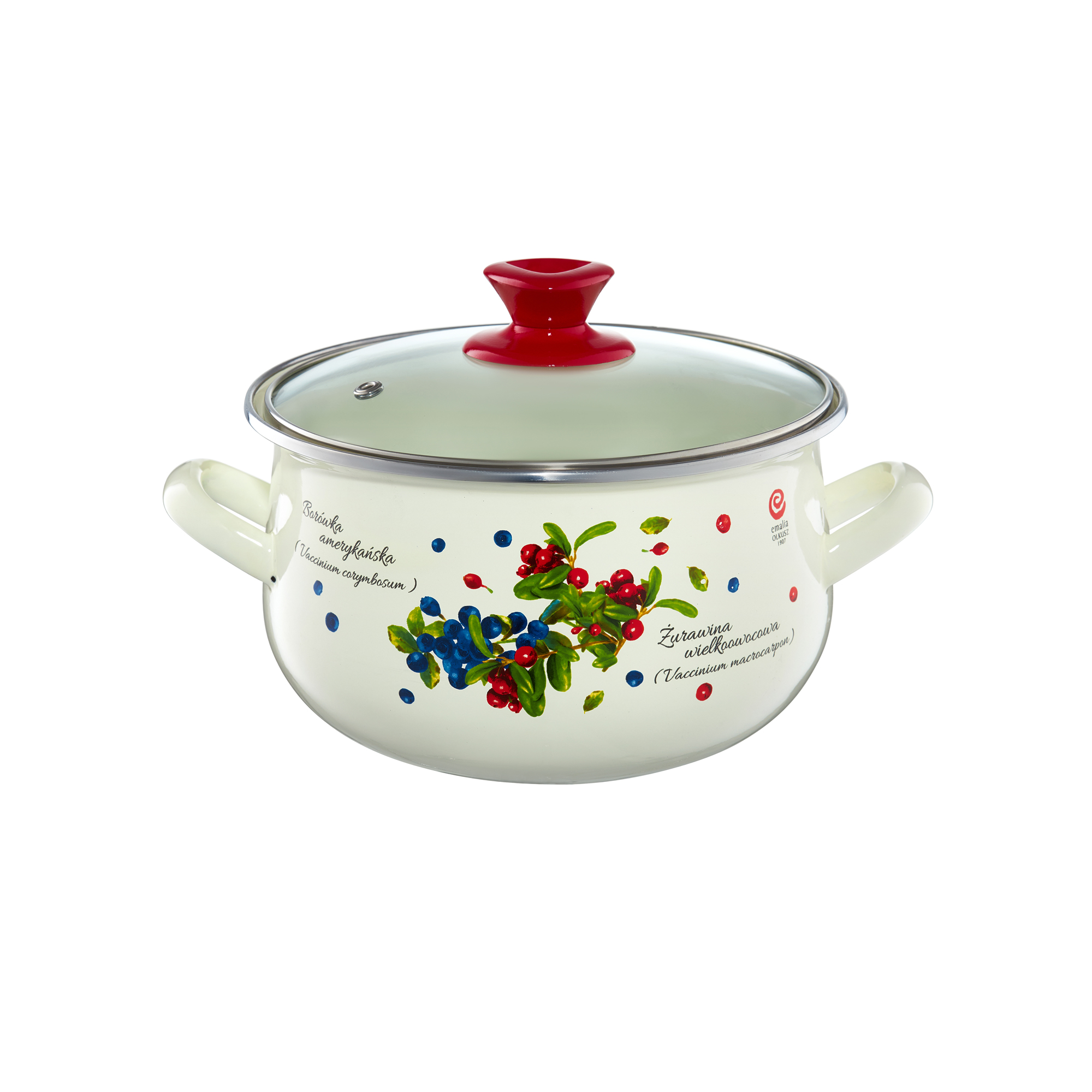 Smaltovaný hrnec s poklicí Borůvka 16 cm, 2,2 l EMALIA OLKUSZ PL NÁPISY