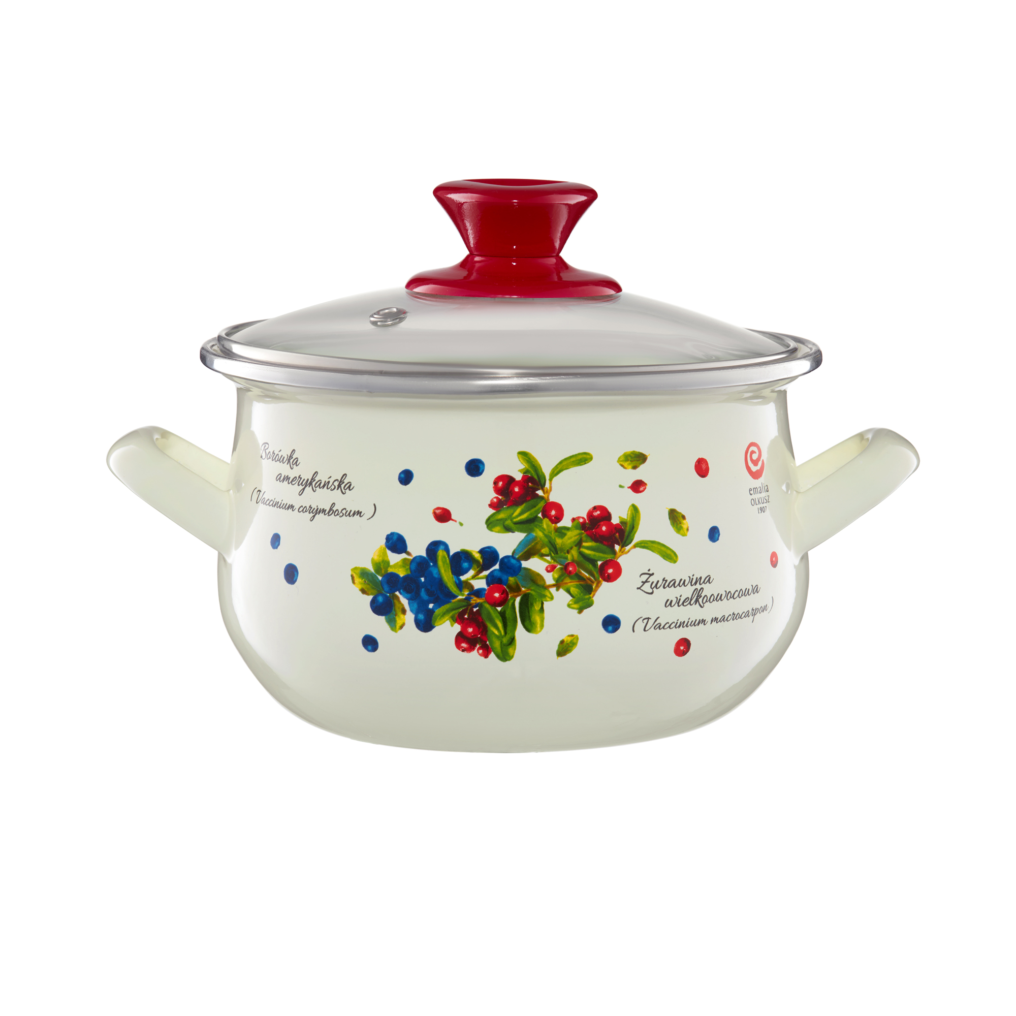 Smaltovaný hrnec s poklicí Borůvka 18 cm, 3,1 l EMALIA OLKUSZ PL NÁPISY
