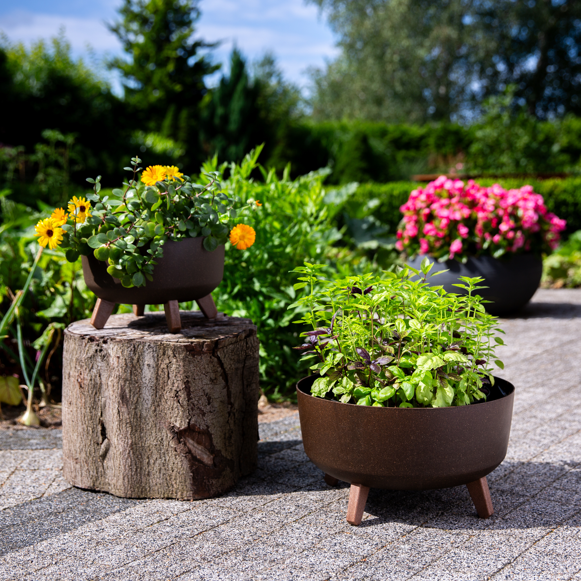 Blumentopf rund  Gracia Low ECO Wood 28,5 cm kaffee PROSPERPLAST