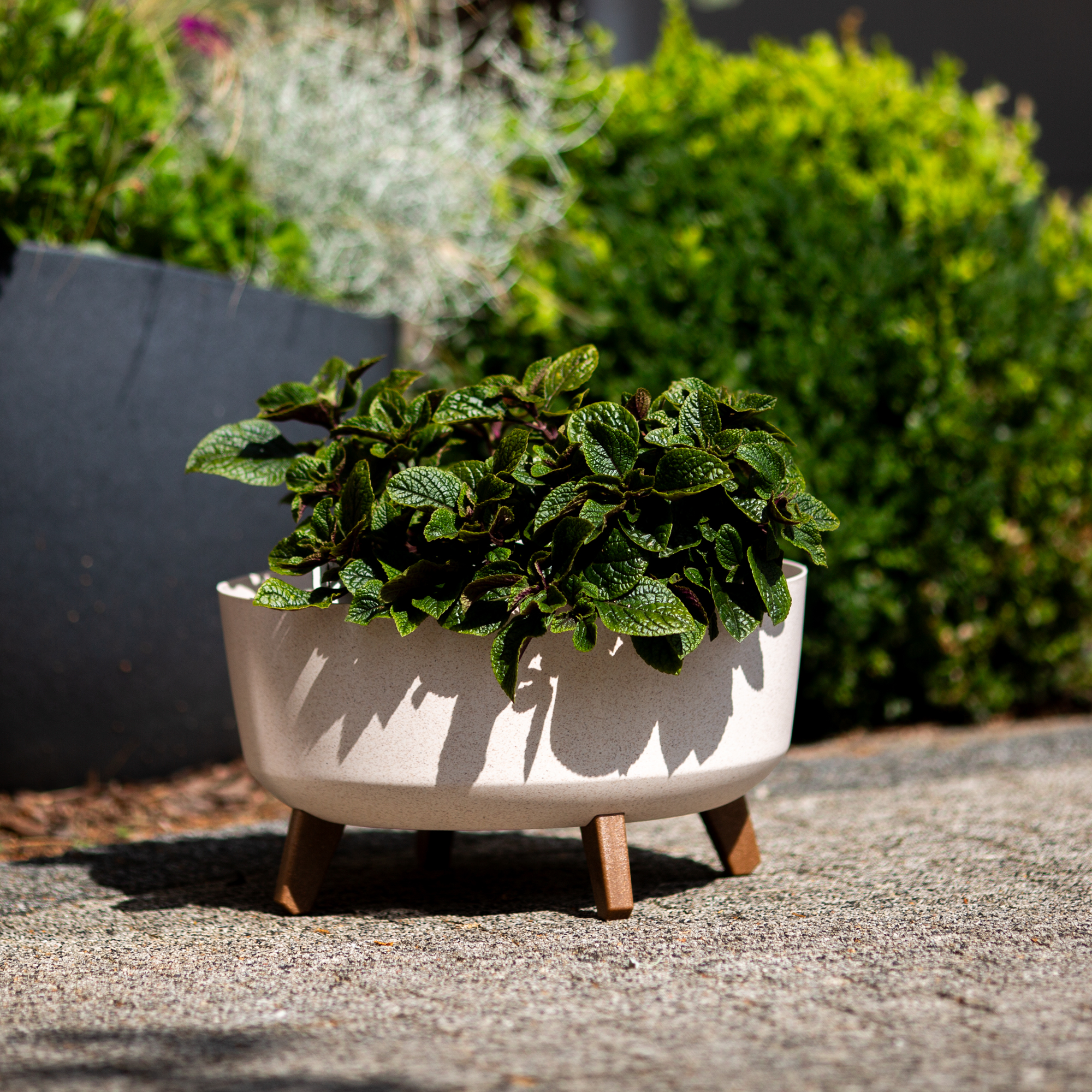 Blumentopf rund  Gracia Low ECO Wood 38 cm weiß PROSPERPLAST