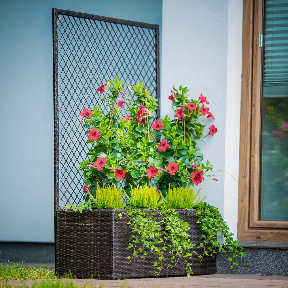 Doniczka z pergolą wenge 100 cm PATIO IIGAT