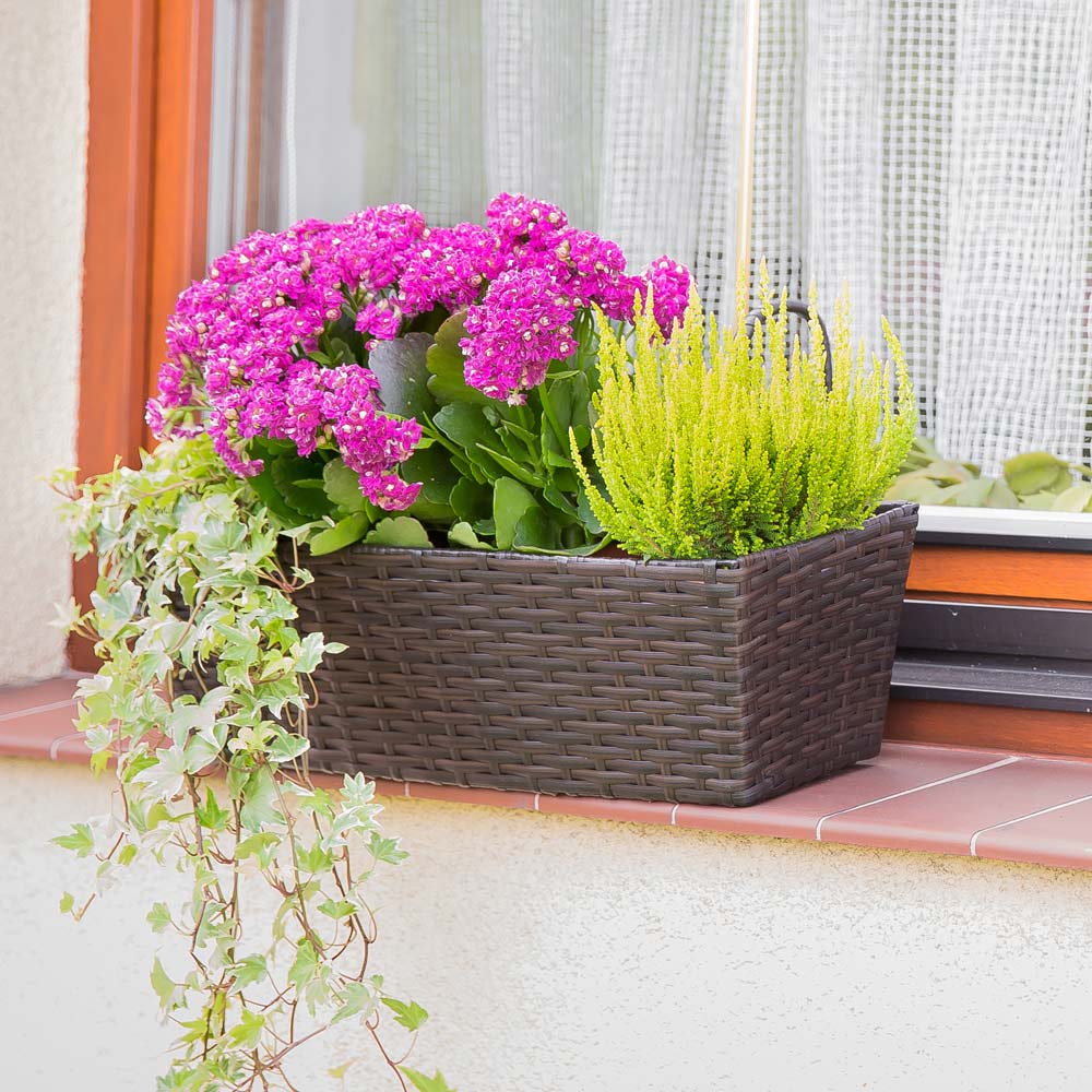 Blumenkasten wenge 49 x 16 x 14,5 cm PATIO