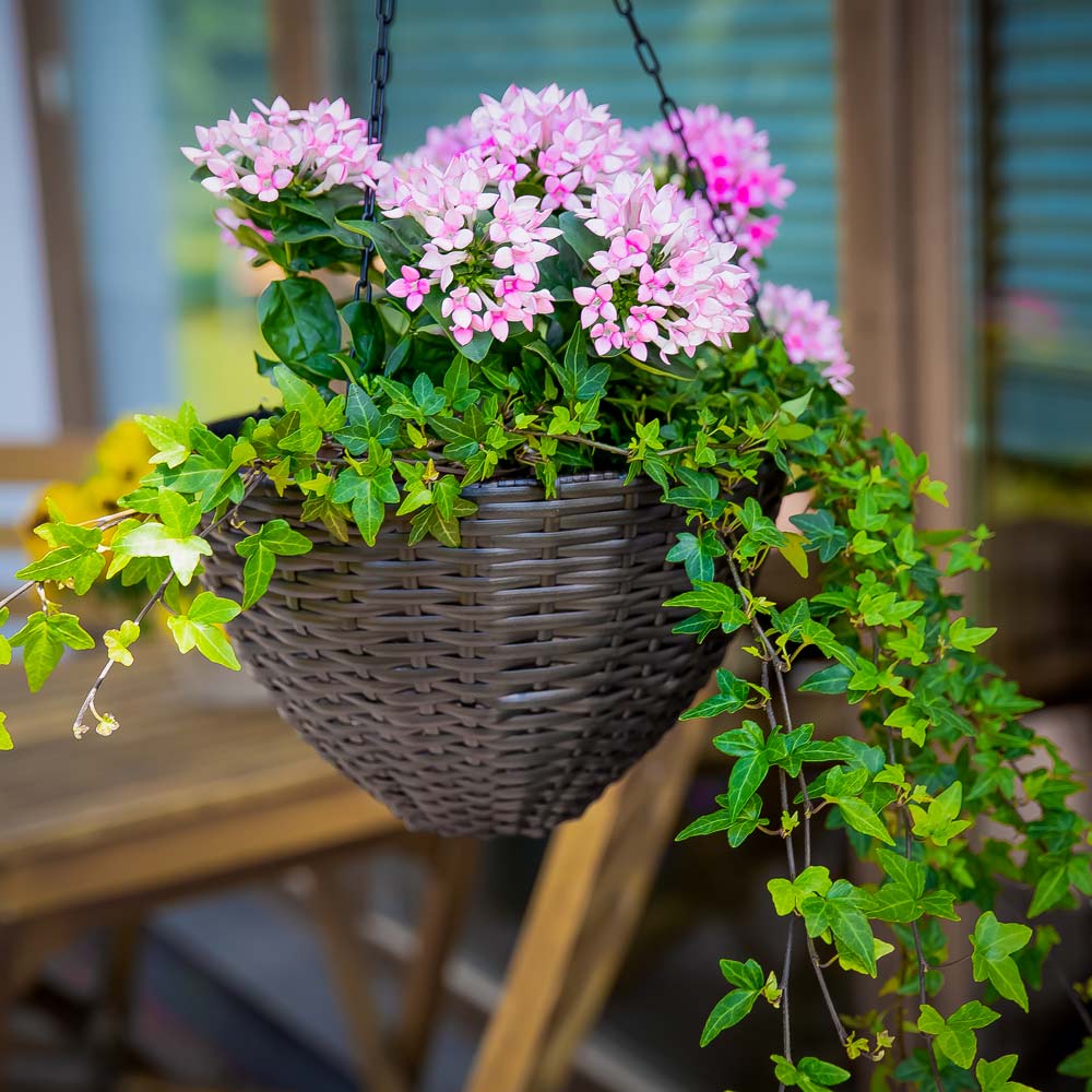 3 Blumenampel-Set Wenge PATIO