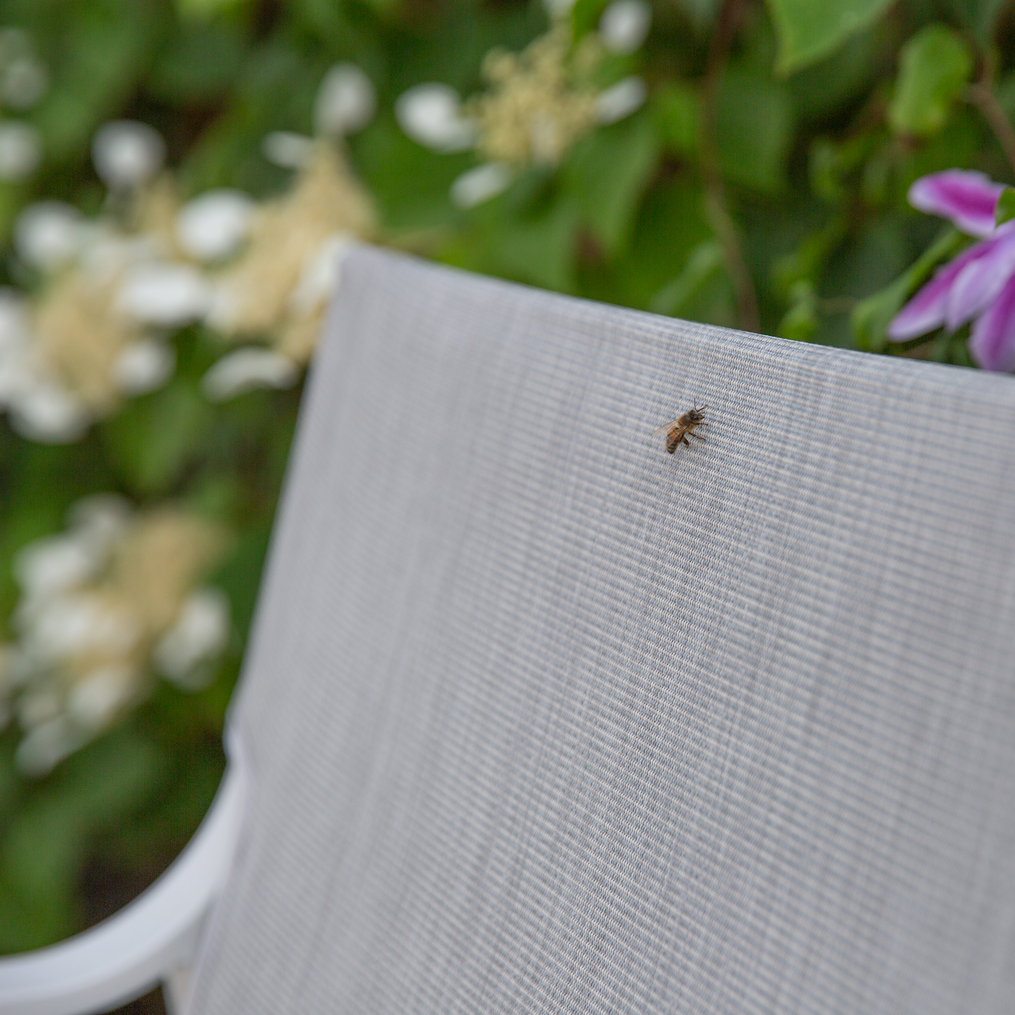 Set di mobili da giardino Lea grigio PATIO
