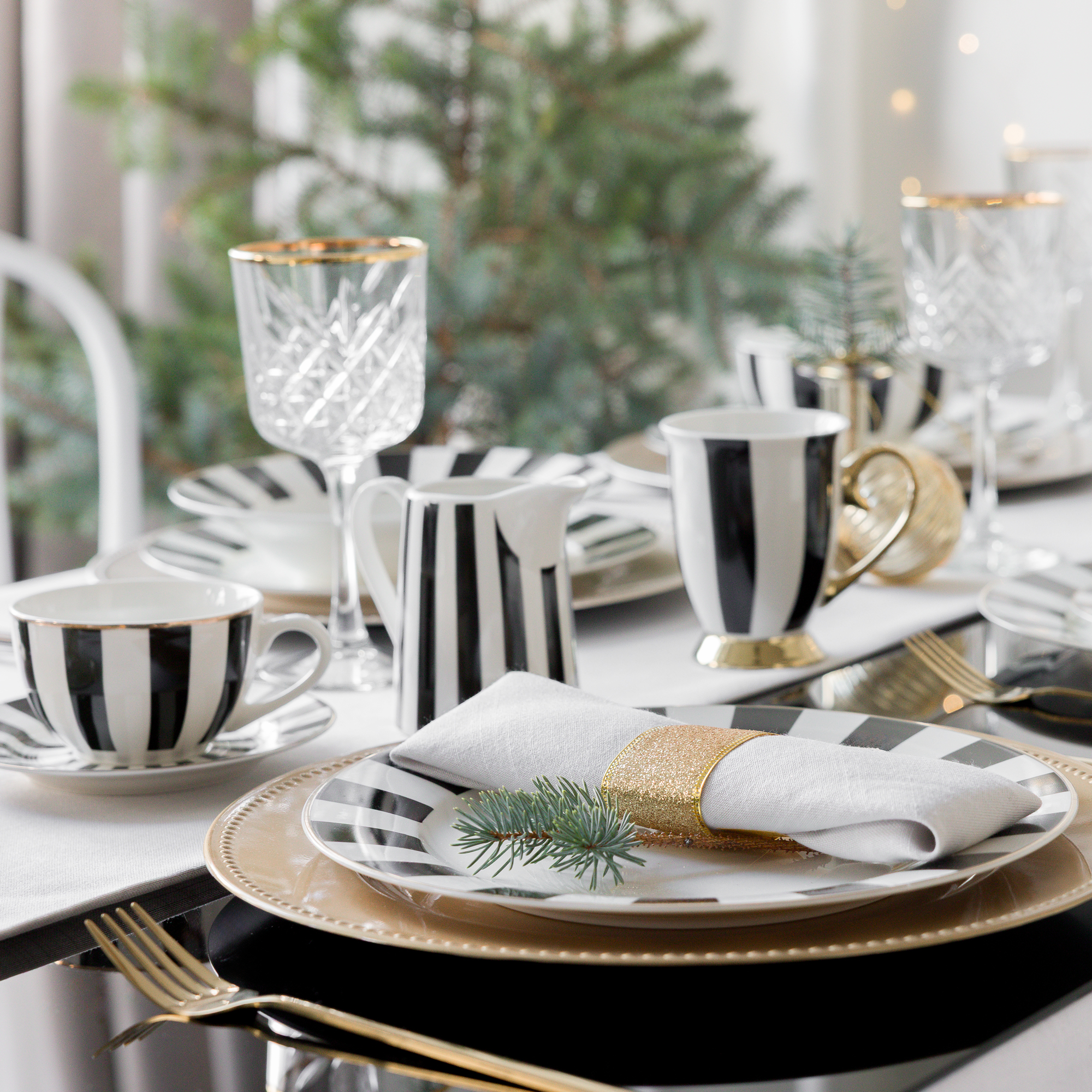 Dinner and coffee set for 6 people Ribs 45-piece AMBITION