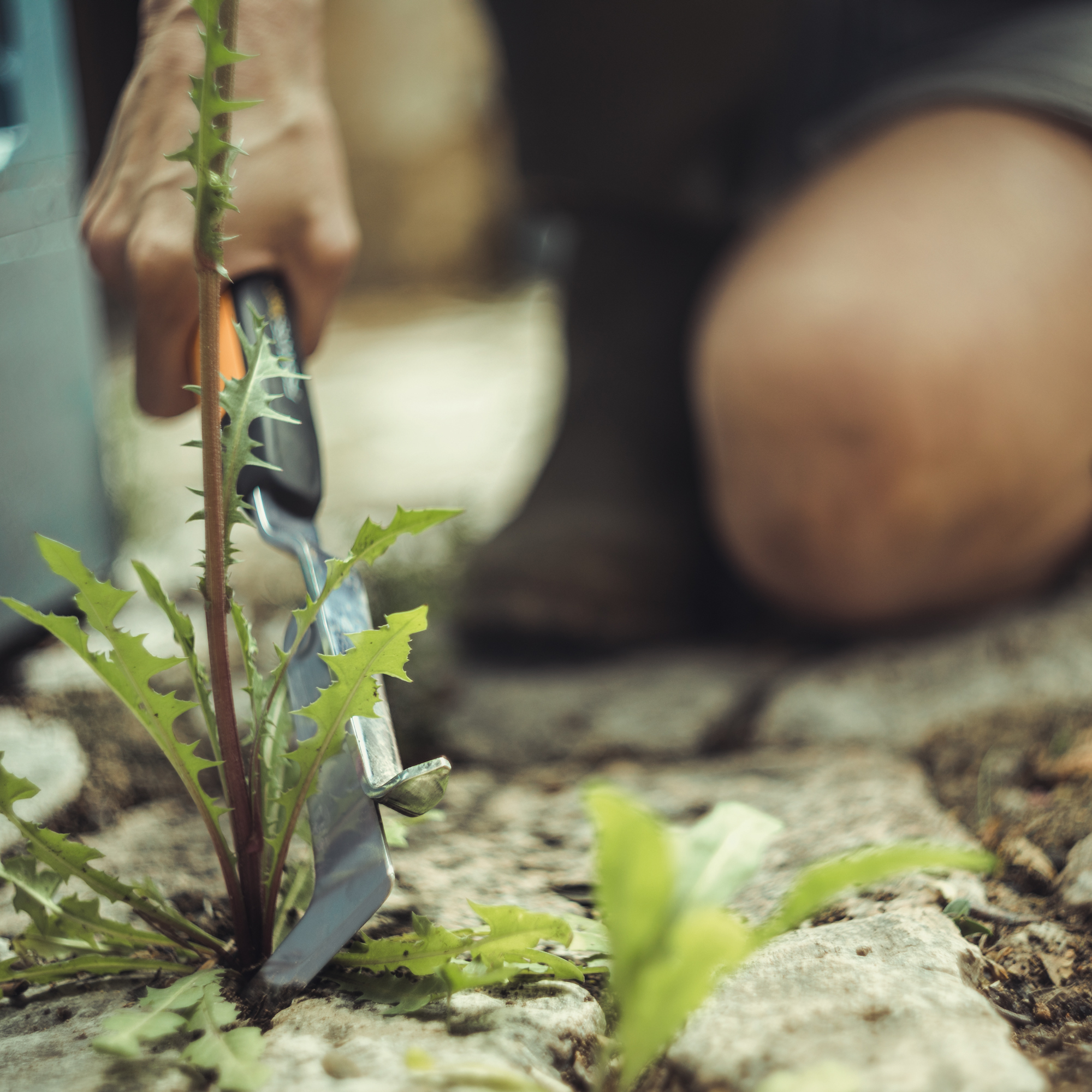 Skrobak do fug Xact ™ mały FISKARS