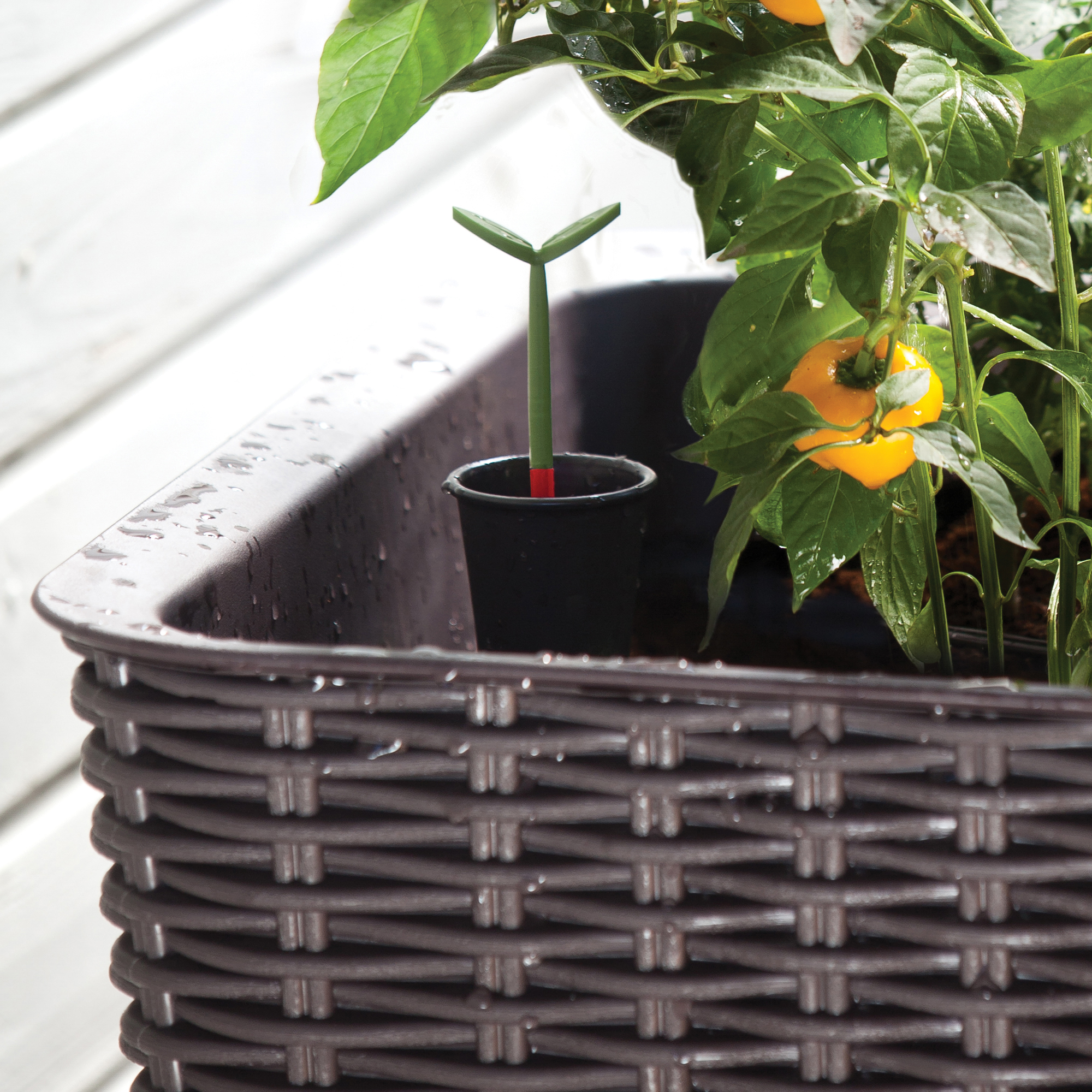 Fioriera rialzata Easy Grow marrone KETER
