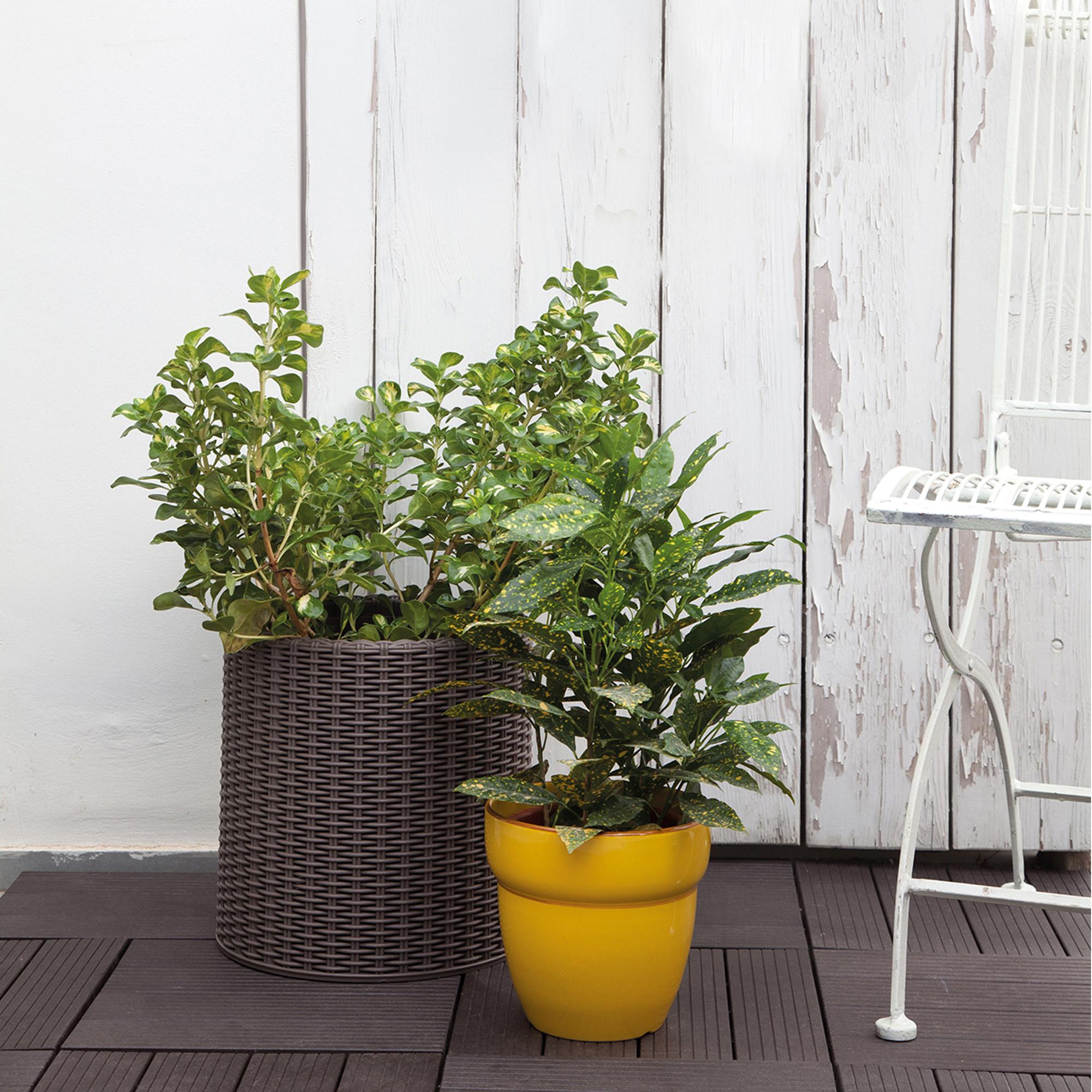Blumentopf / Pflanzkübel Rattan 44 x 44,3 cm braun rund KETER