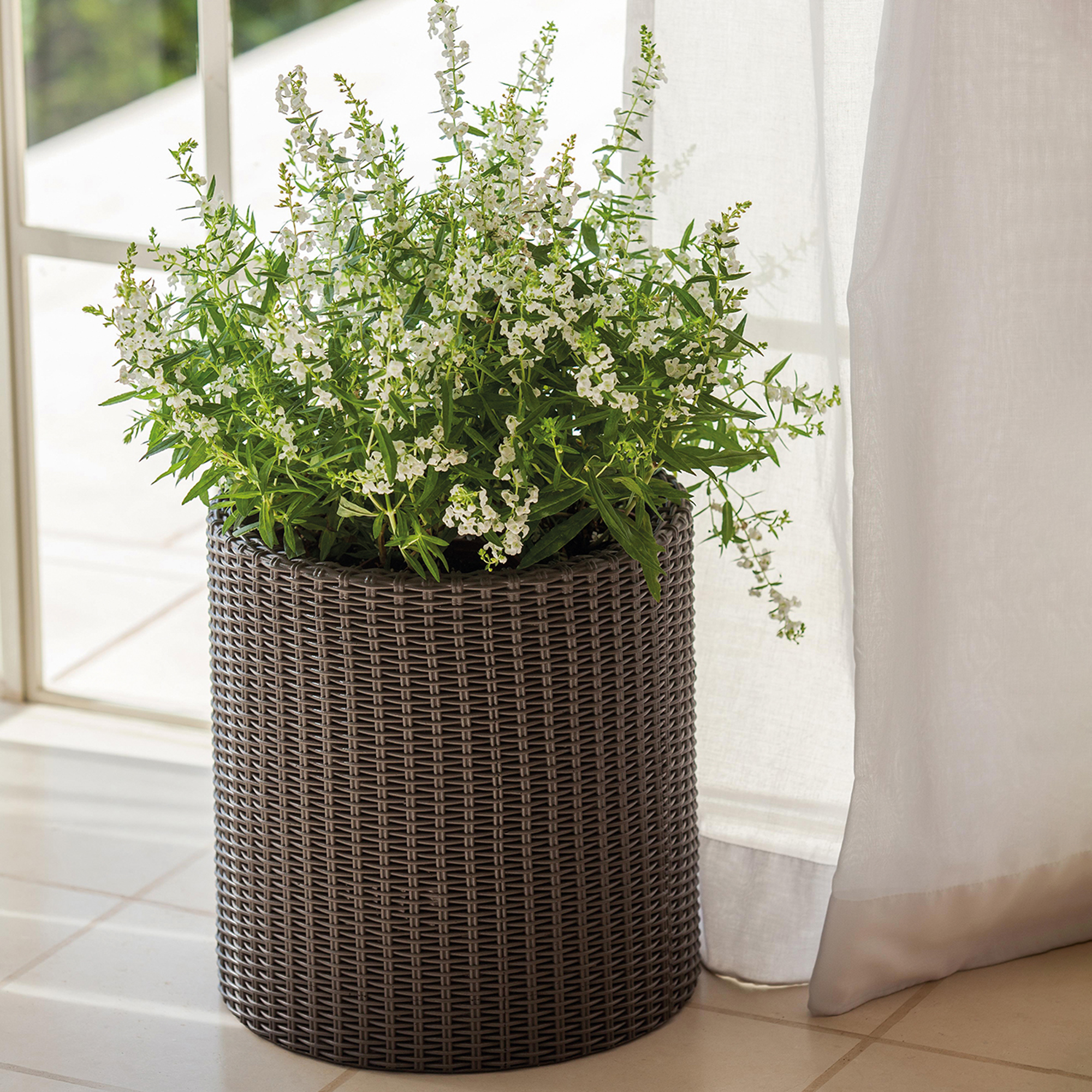 Blumentopf / Pflanzkübel Rattan 44 x 44,3 cm braun rund KETER