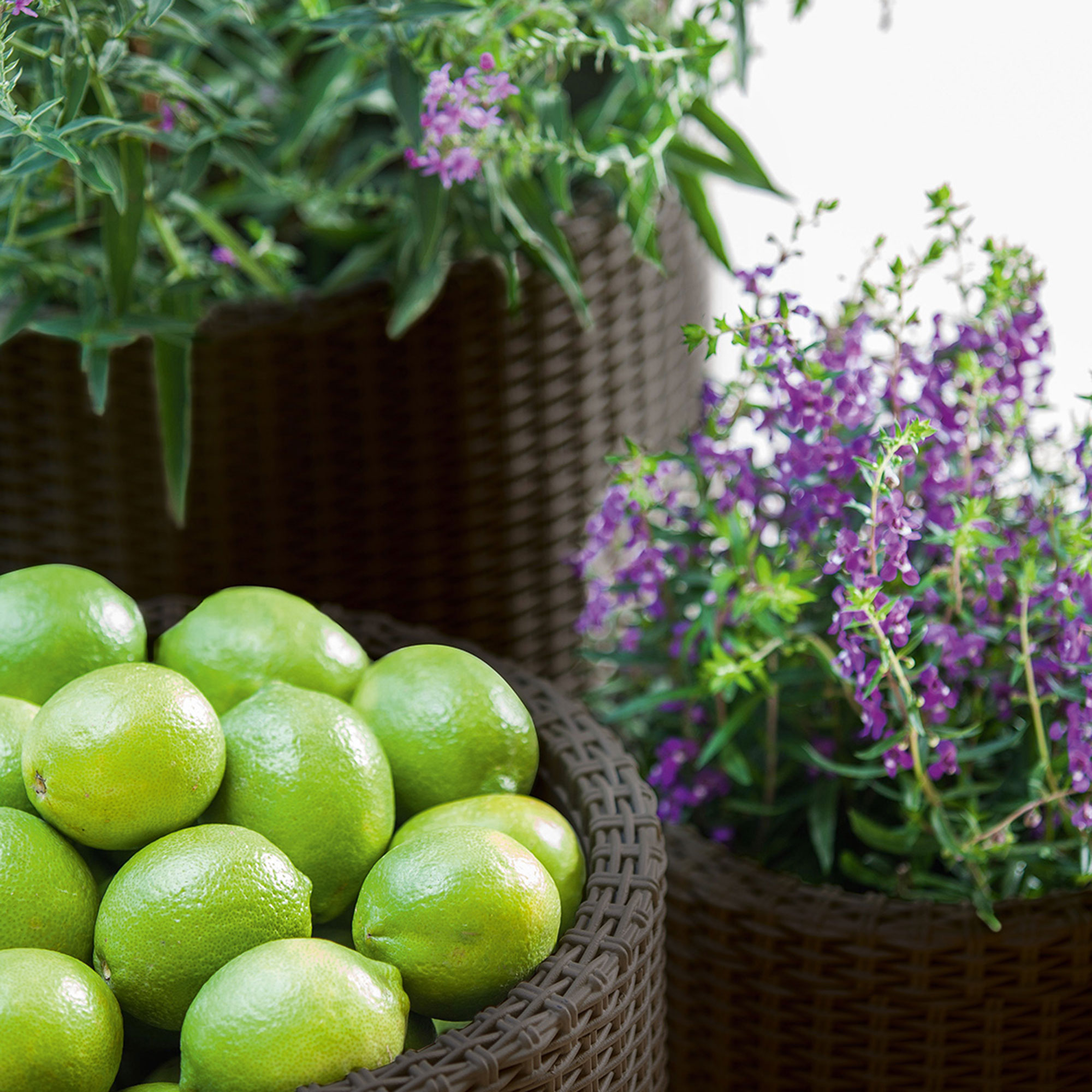 Zestaw donic ogrodowych Cylinder 3-elementowy KETER