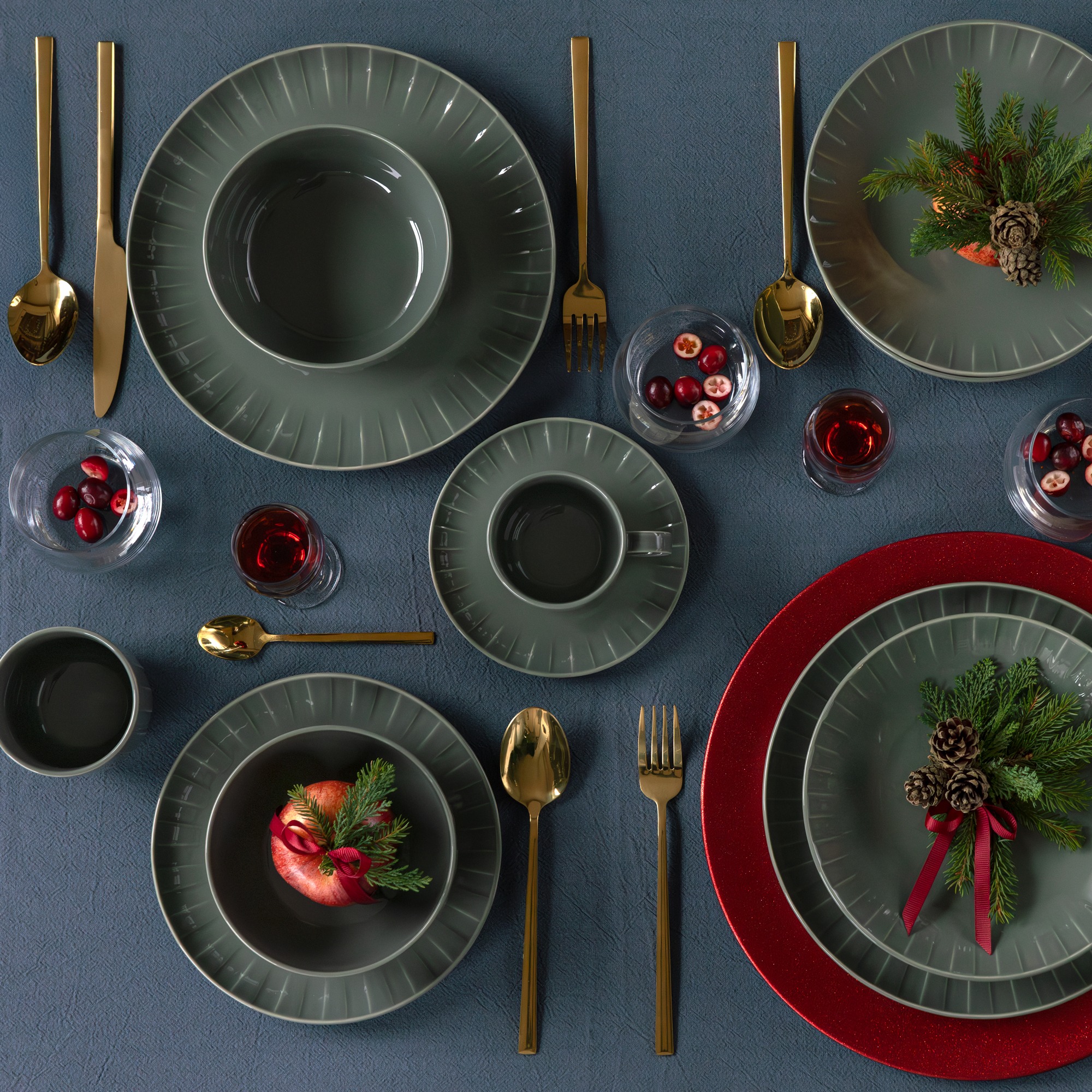 Servizio di soviglie da tavola per 6 persone Ligne verde 48 pezzi AMBITION