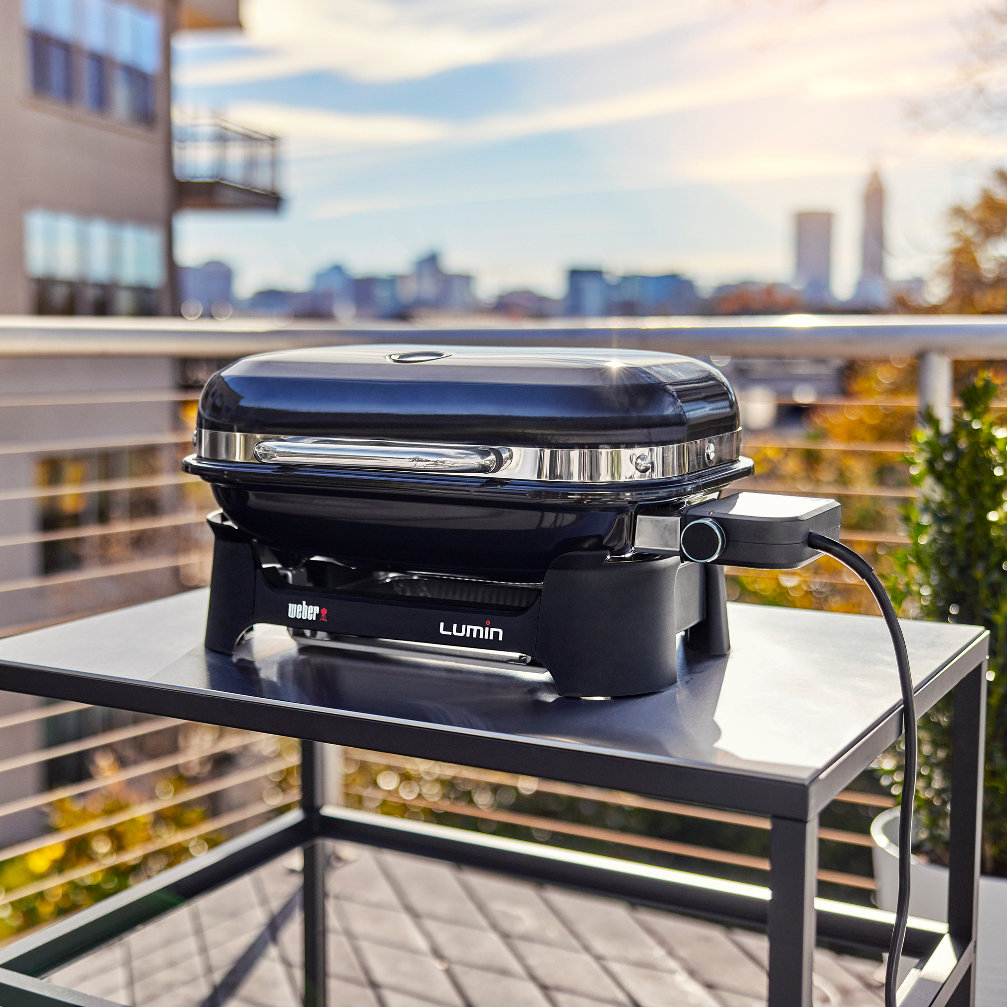 Elektrogrill mit Stand Lumin WEBER 92010879