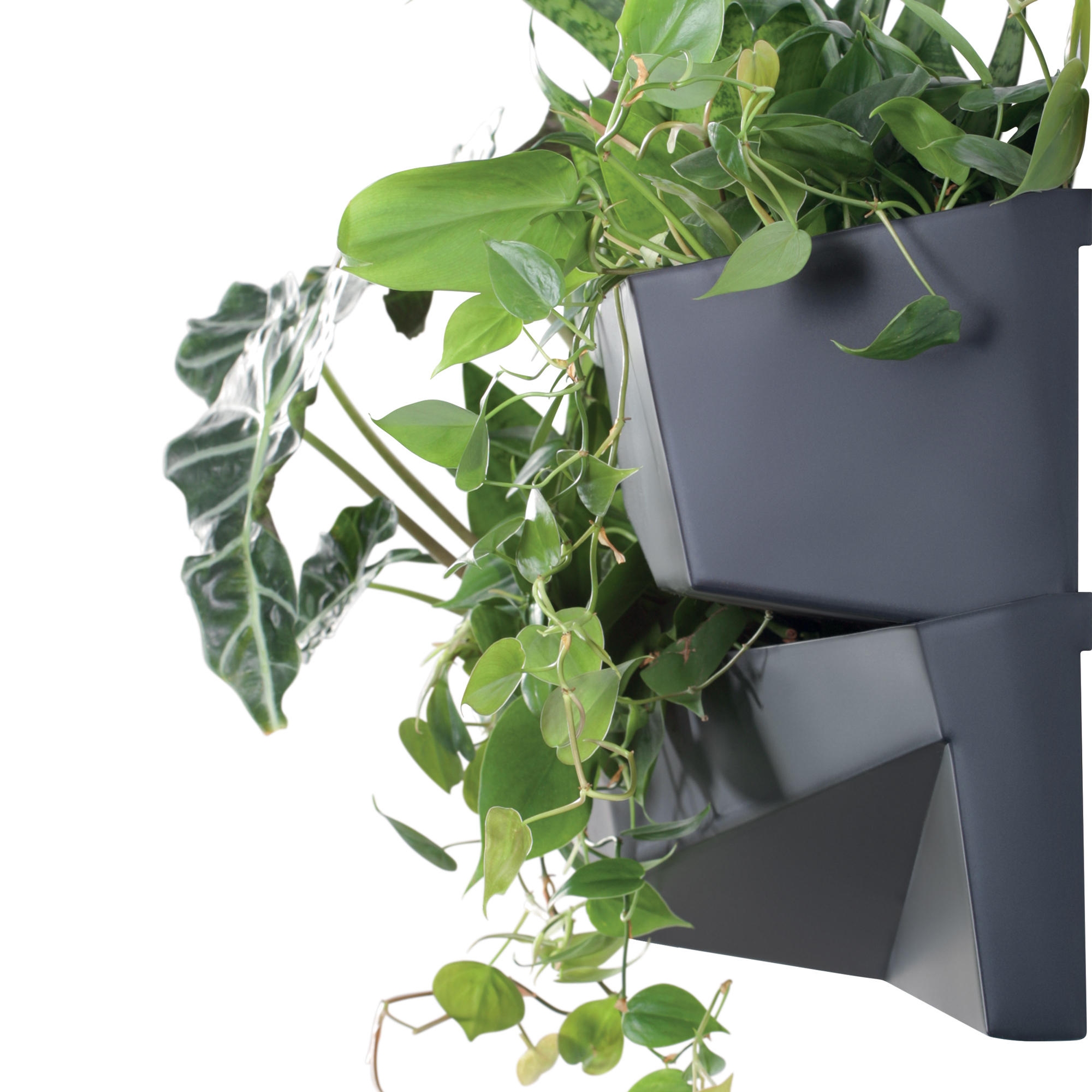 Pflanzentreppe mit Etage Cascade Garden Wall 78 x 19 x 35 cm PROSPERPLAST
