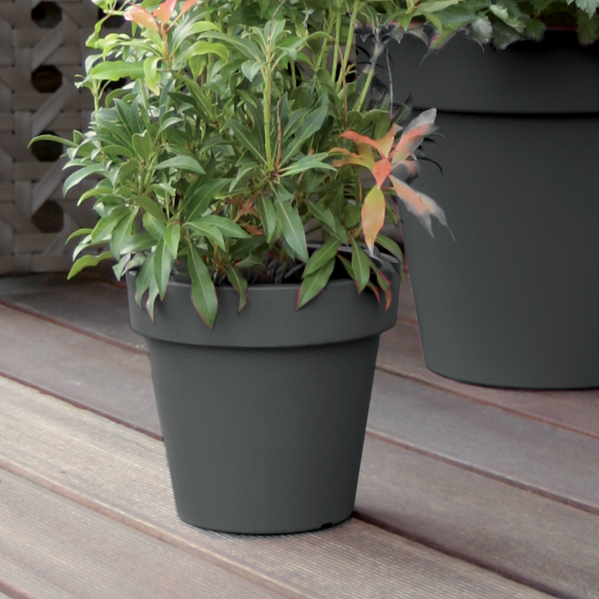 Blumentopf 29,3 x 29,3 x 26,6 cm Lofly anthrazit PROSPERPLAST