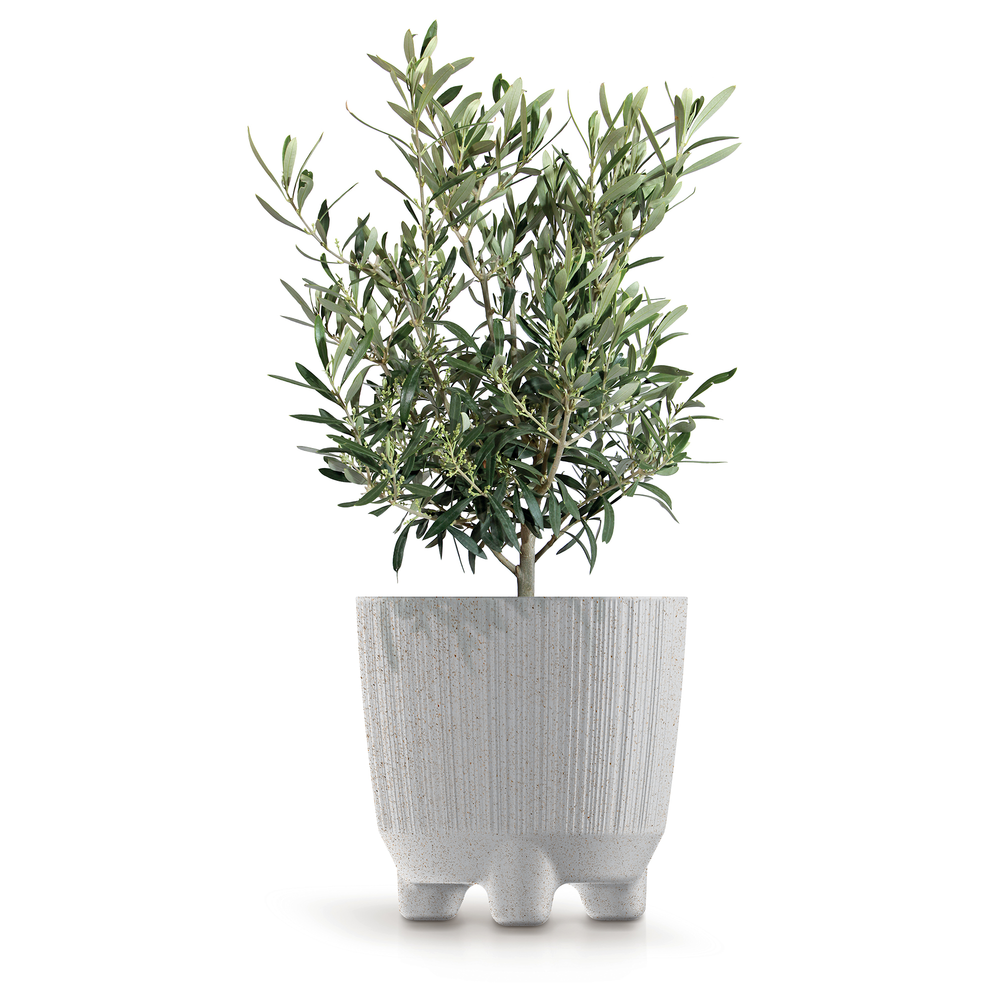 Übertopf Ryfo N ECO Wood 19,5 cm weiß ECO PROSPERPLAST