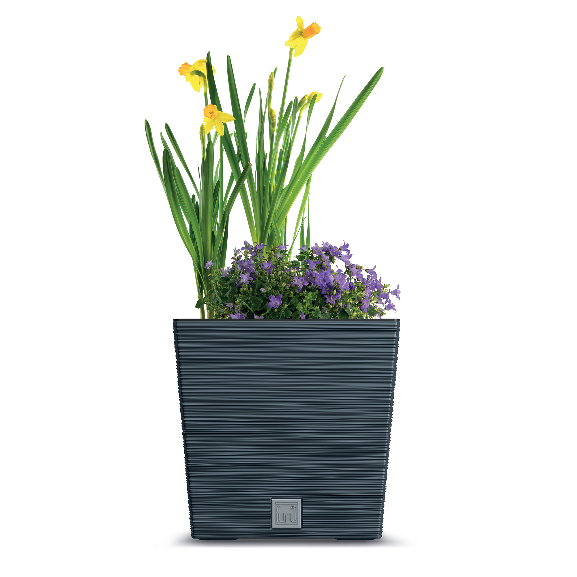 Pflanzkübel quadratisch Furu Square Low 24 cm anthrazit PROSPERPLAST