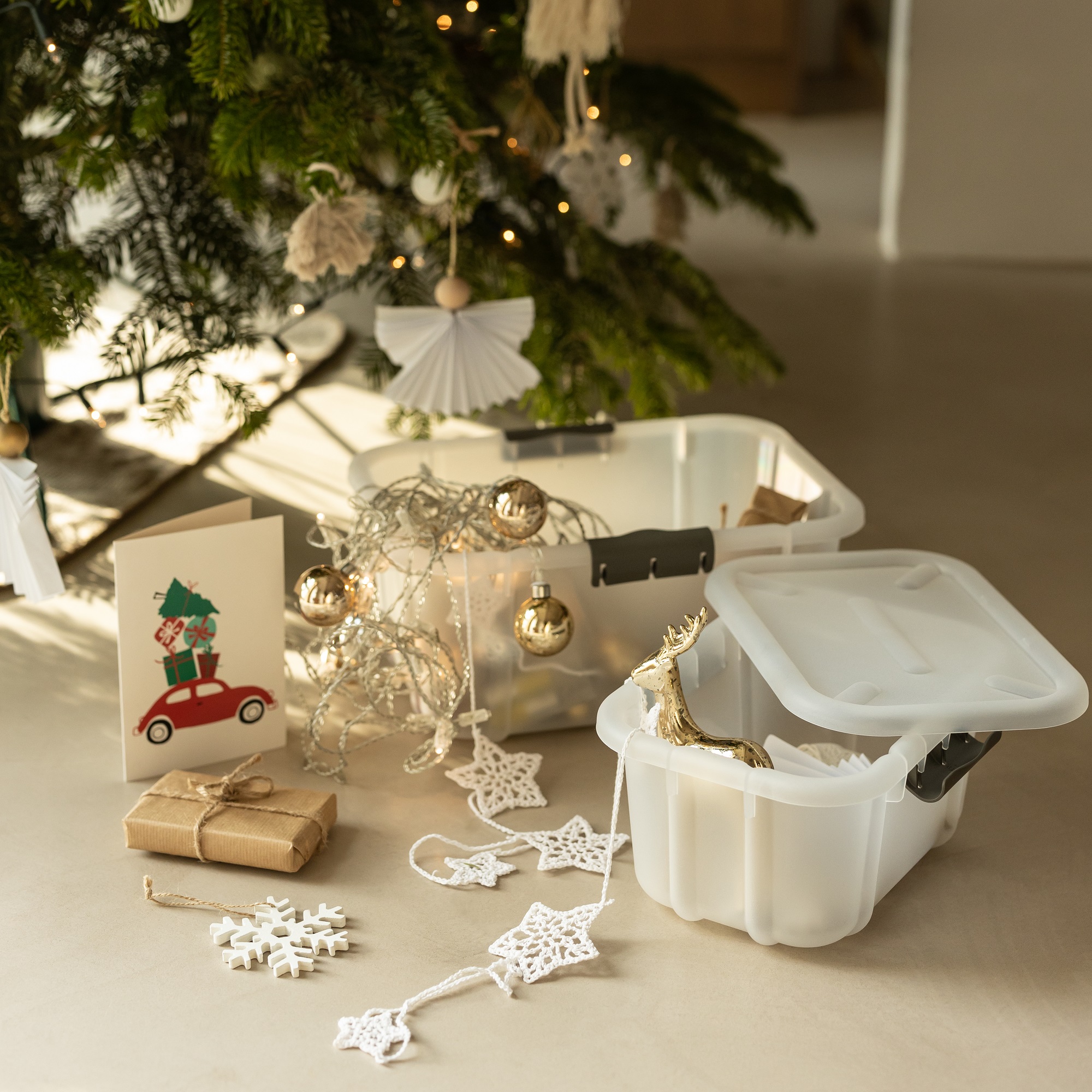 Aufbewahrungsbox mit Deckel Velur 16 L Transparent BRANQ
