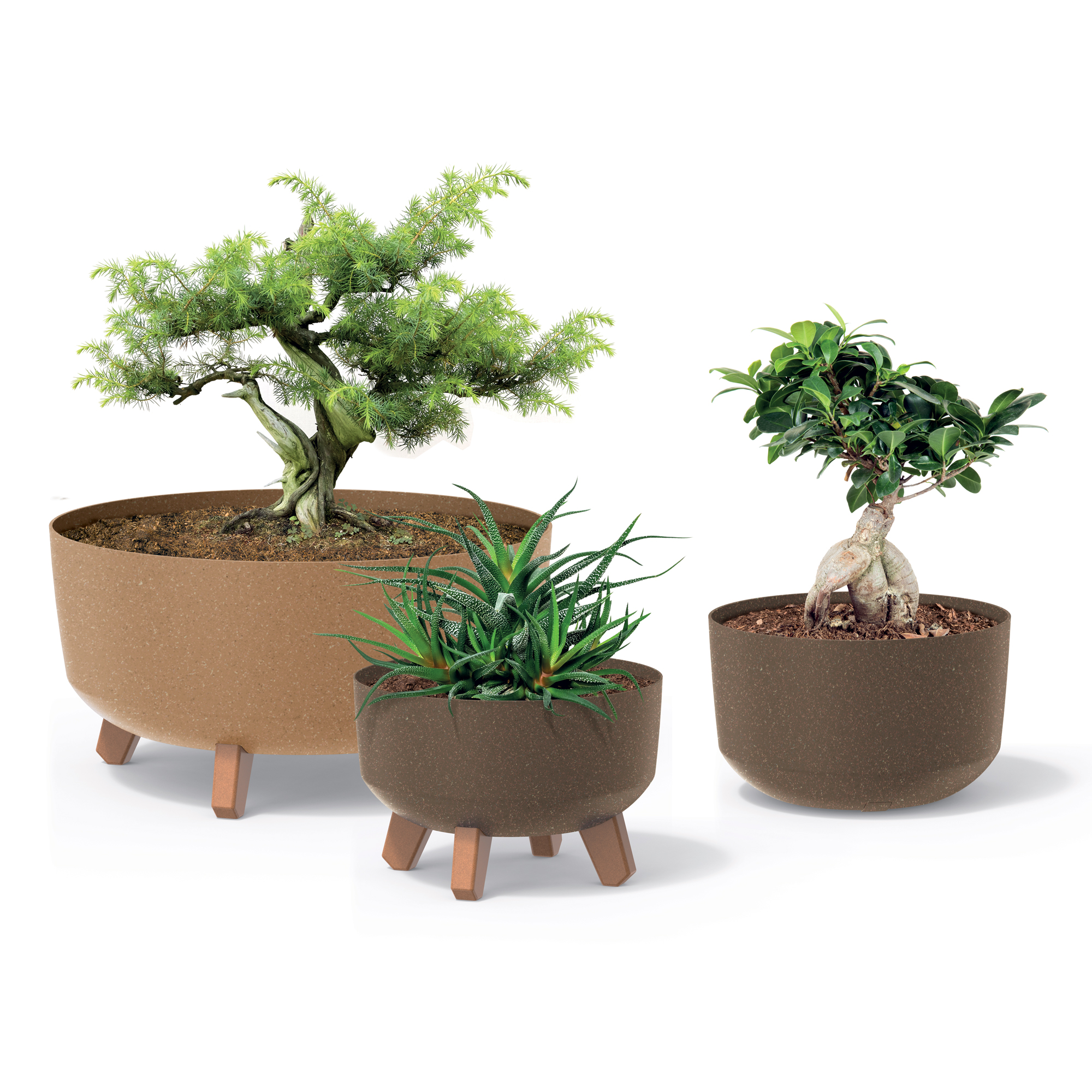 Blumentopf rund  Gracia Low ECO Wood 28,5 cm kaffee PROSPERPLAST