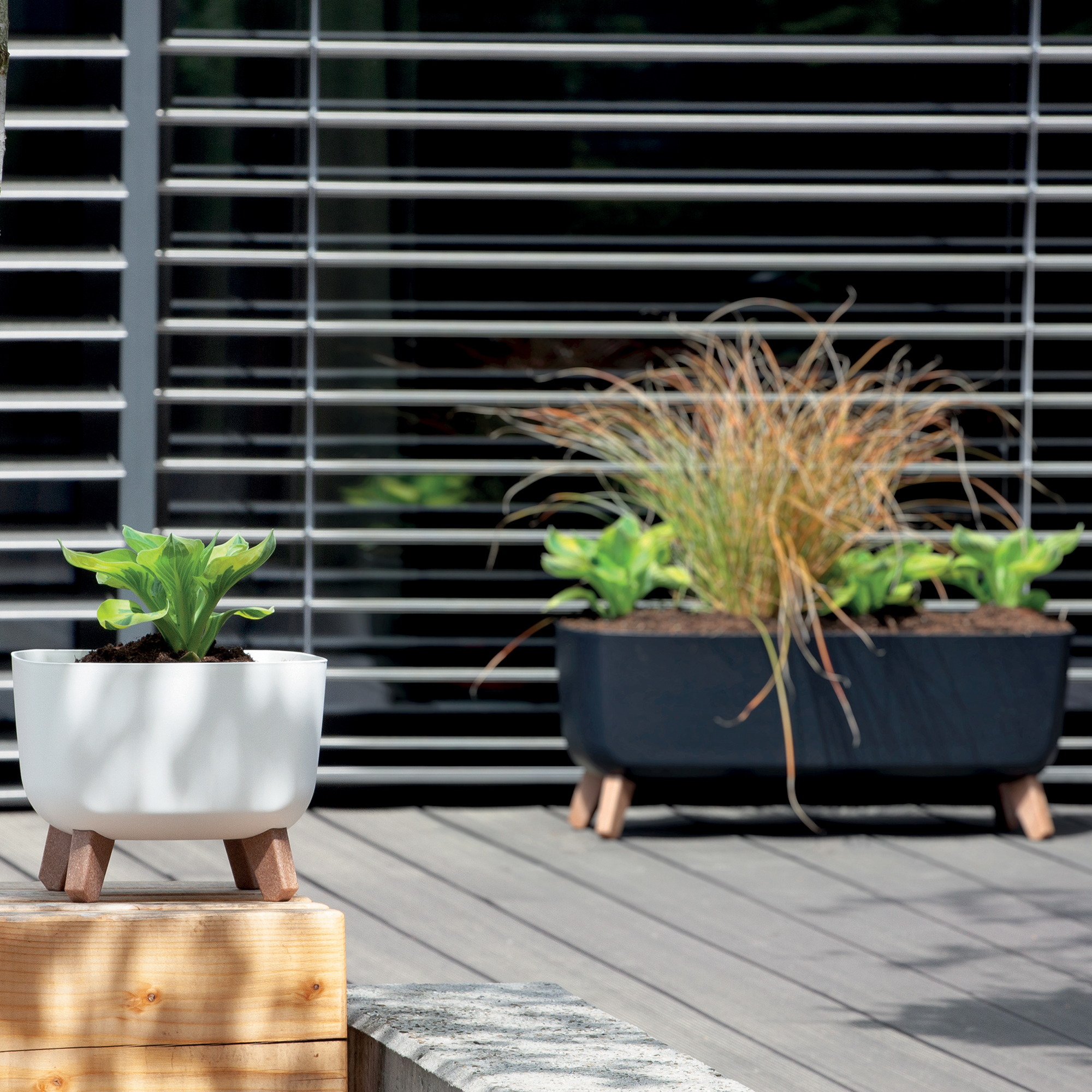 Blumentopf Gracia Square 24 x 24 x 19 cm  quadratisch  weiß PROSPERPLAST