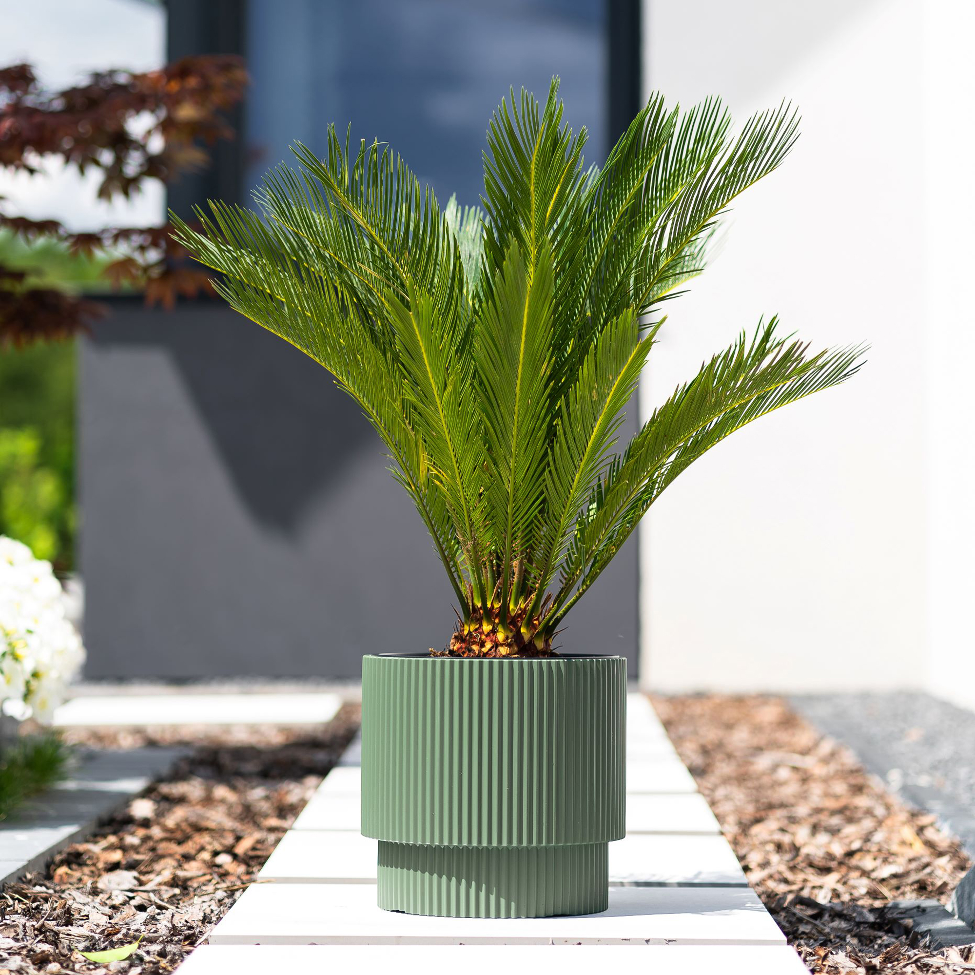 Blumentopf mit Einsatz Milly  39,5 x 39,5 x 37,5 cm grün PROSPERPLAST