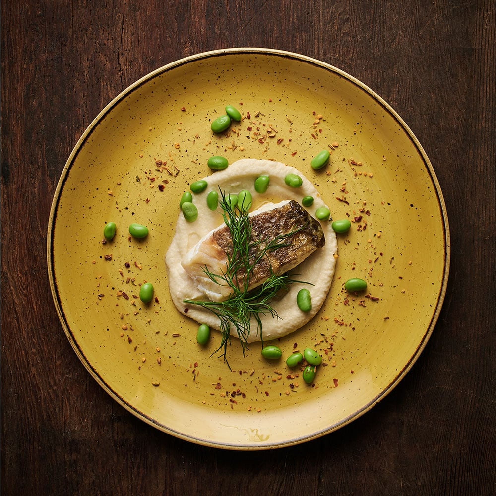 Talerz obiadowy coupe Mustard Seed Yellow 32,4 cm CHURCHILL