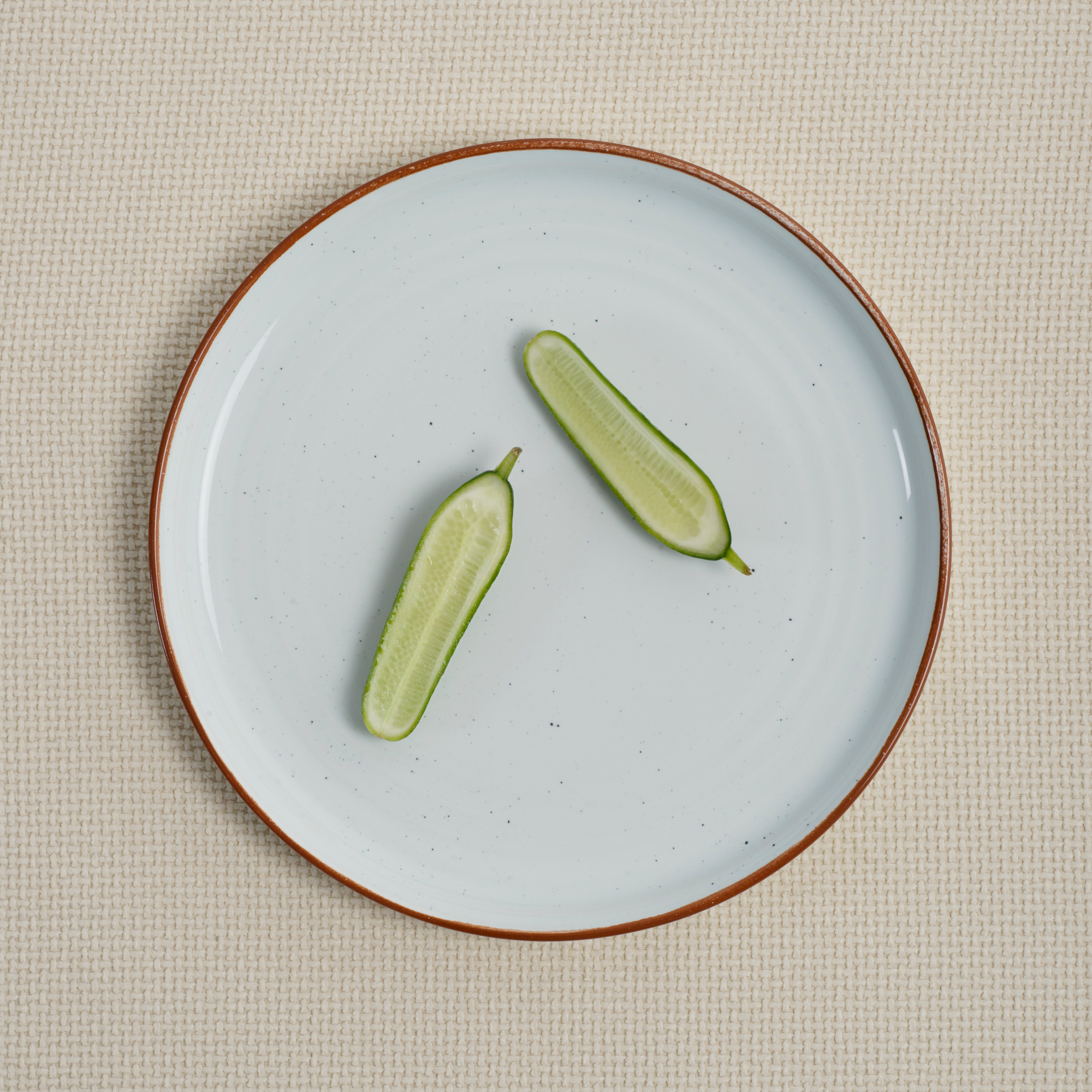 Dinner plate / Serving dish Terra Arena 29 cm white ARIANE